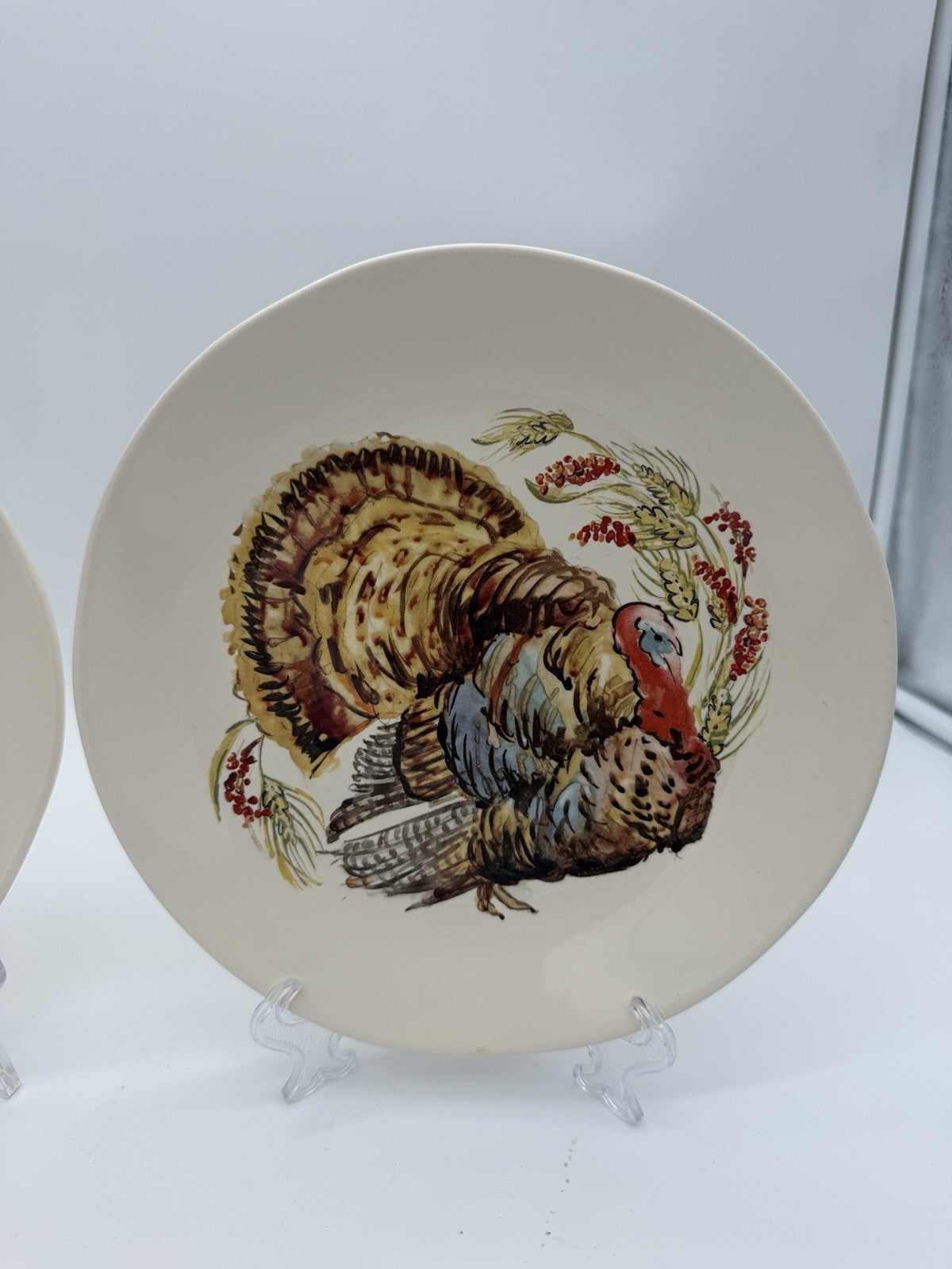 Pottery Barn Watercolor Plymouth Turkey 2 salad plates Thanksgiving 8”