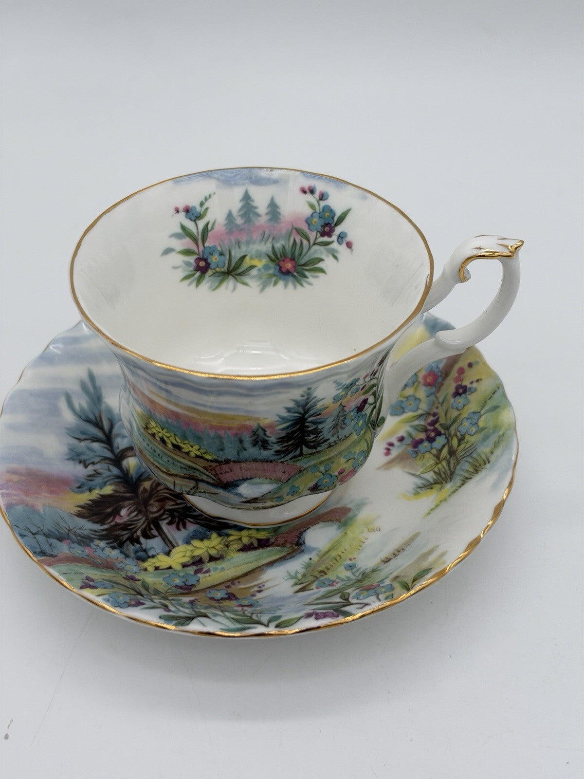 Royal Albert England Porcelain Country Scenes Dovedale Tea Cup & Saucer Set Rare