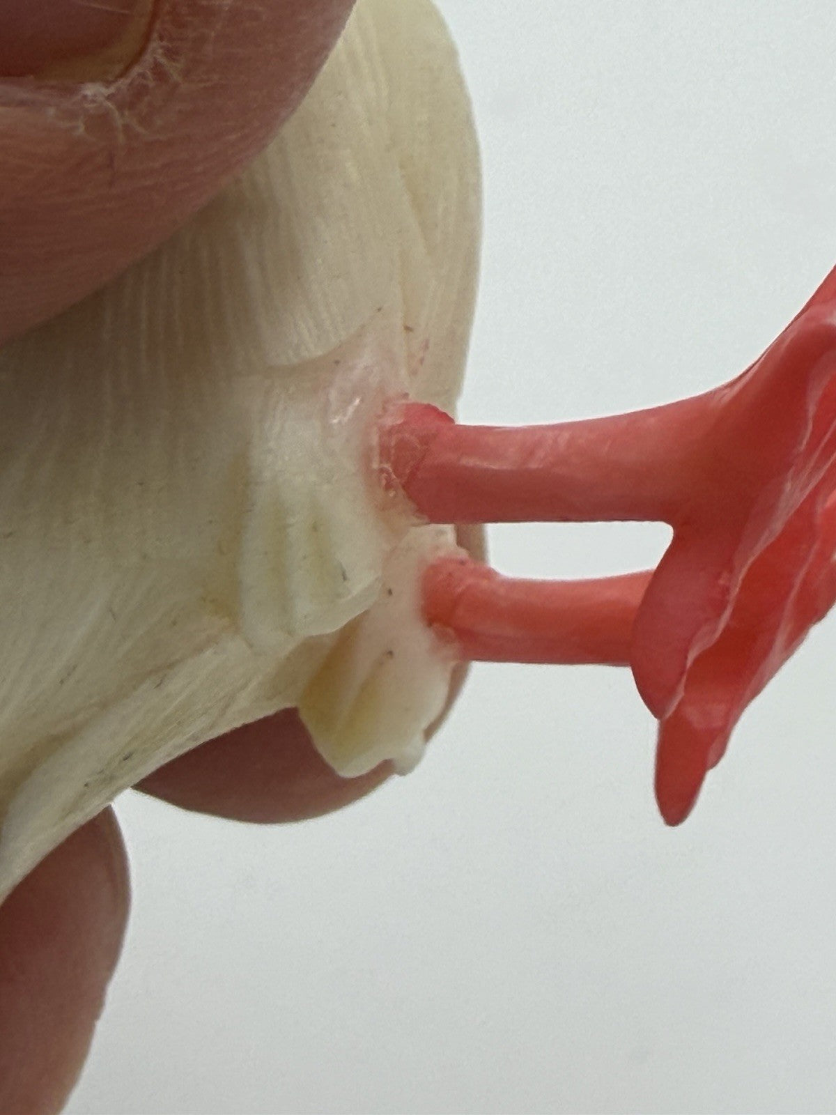 Antique Hand Carved Pigeon Mini Figurine Folk Art Polychrome 2” Dove Bird Resin