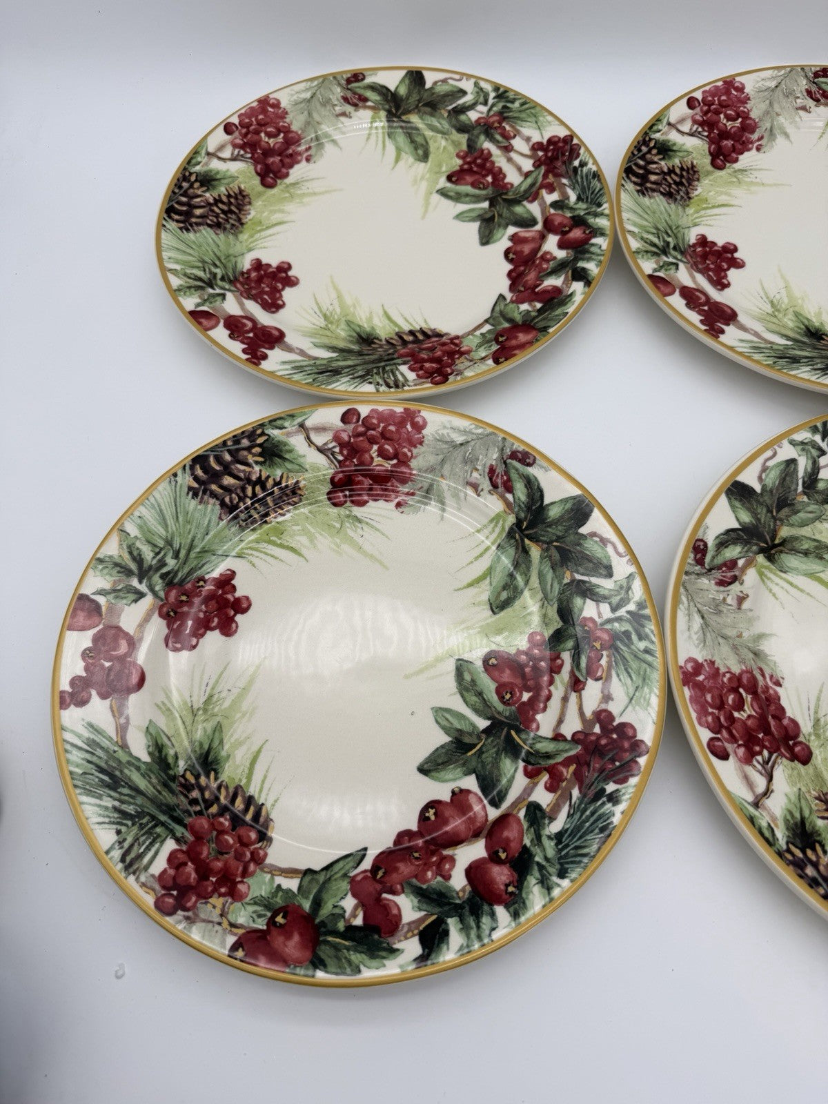 Botanical Wreath Williams Sonoma Dinner Plates 10.5” Red Berries & Pinecones 4