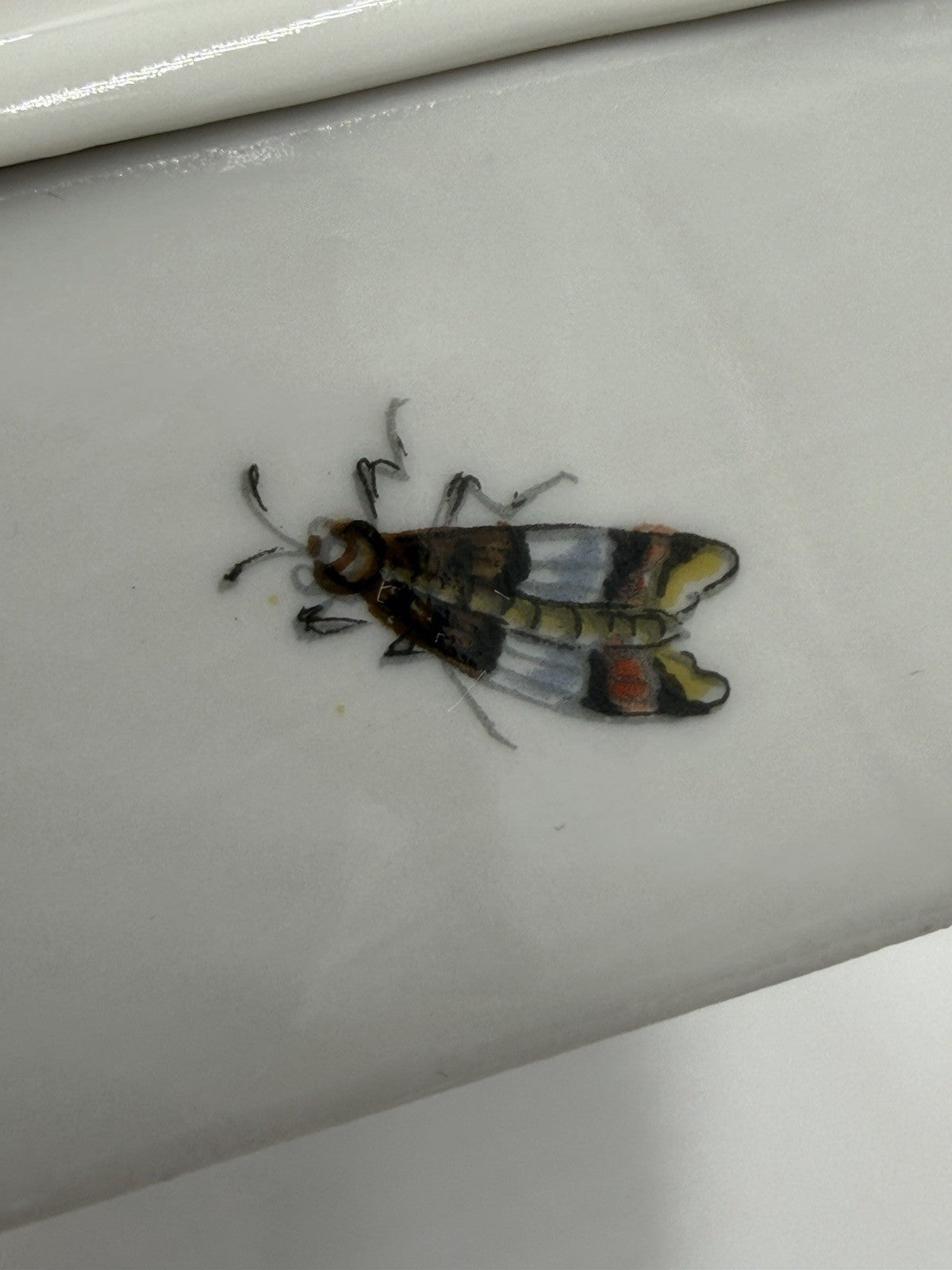 Vtg Limoges France Porcelain Birds Bugs  Botanical Trinket Box 1.5”x3.5”x2.5”