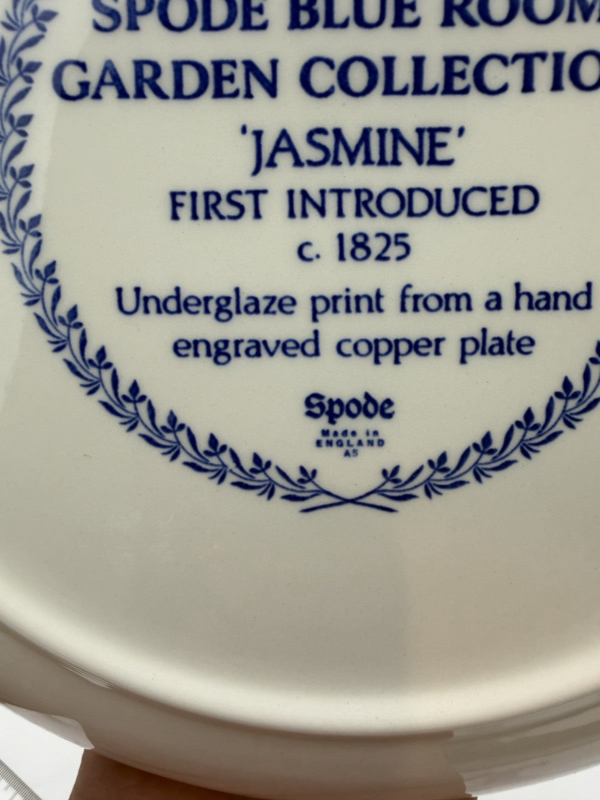 Spode Porcelain Blue Room Garden Collection Jasmine Blue & Yellow Pasta bowl Set