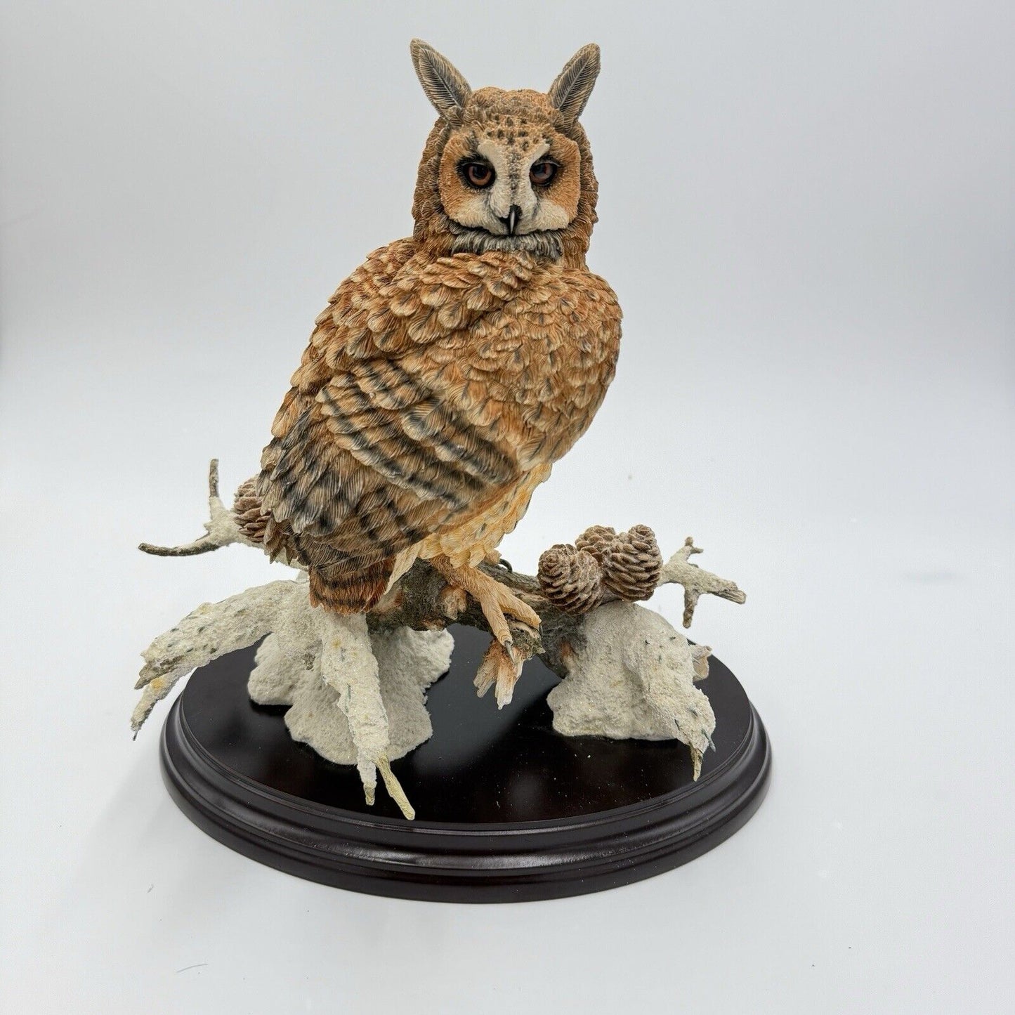 Large Country Artist Long Eared Owl Painted On Wooden Base 2002 Rare 11”H