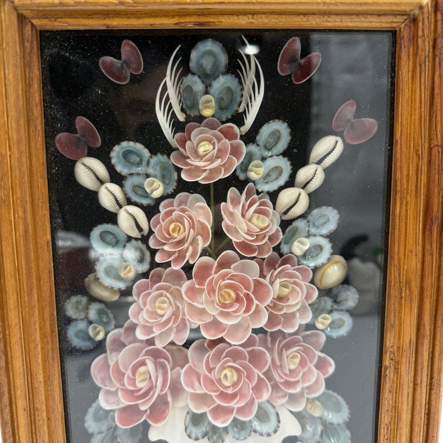 Julio G Meza Seashells Shell Roses Bouquet Art Frame Glass Display Wooden  1992