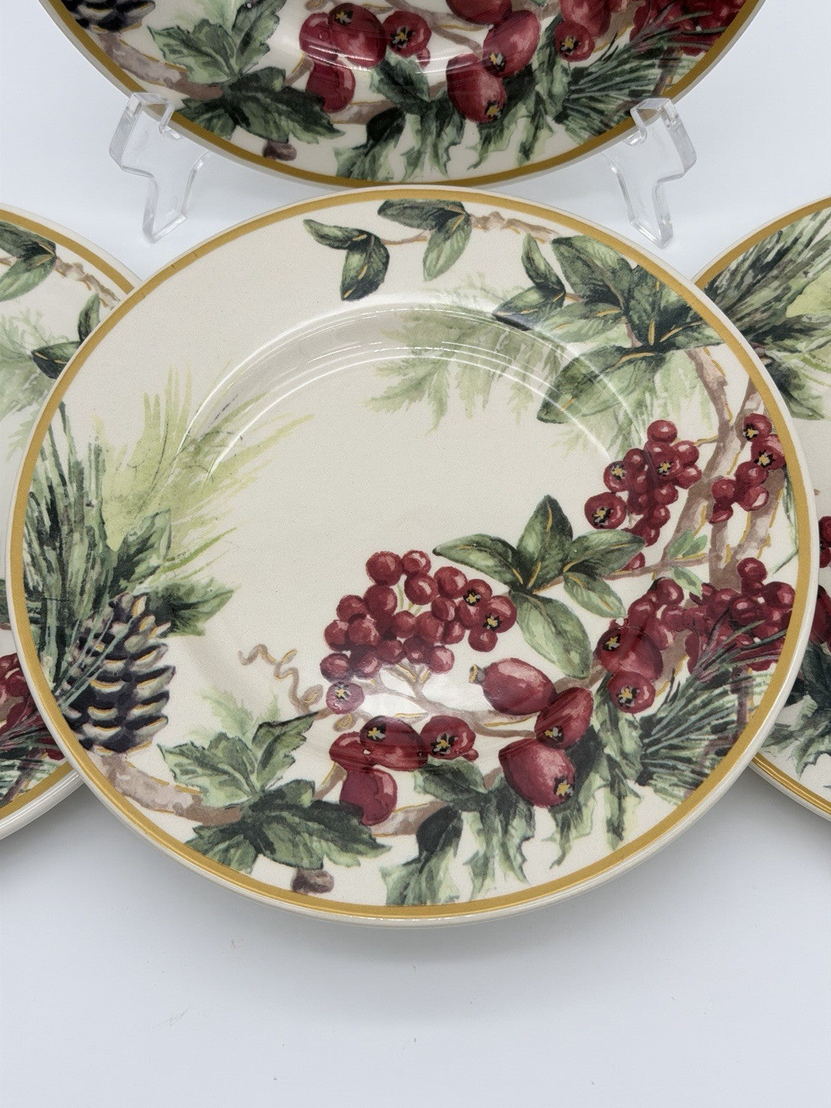Botanical Wreath William Sonoma Red Berries & Pinecones Salad /dessert Plates 4