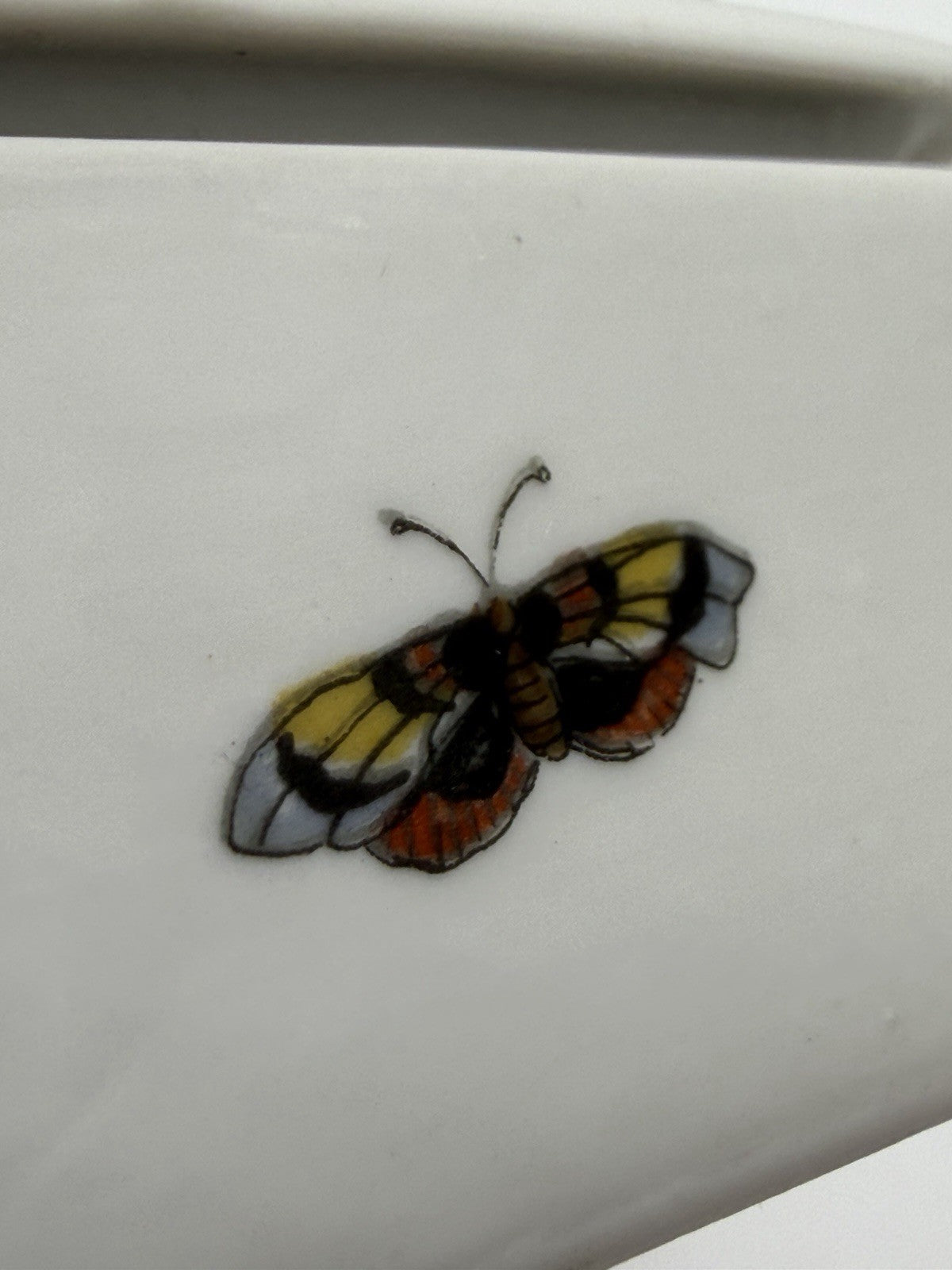 Vtg Limoges France Porcelain Birds Bugs  Botanical Trinket Box 1.5”x3.5”x2.5”