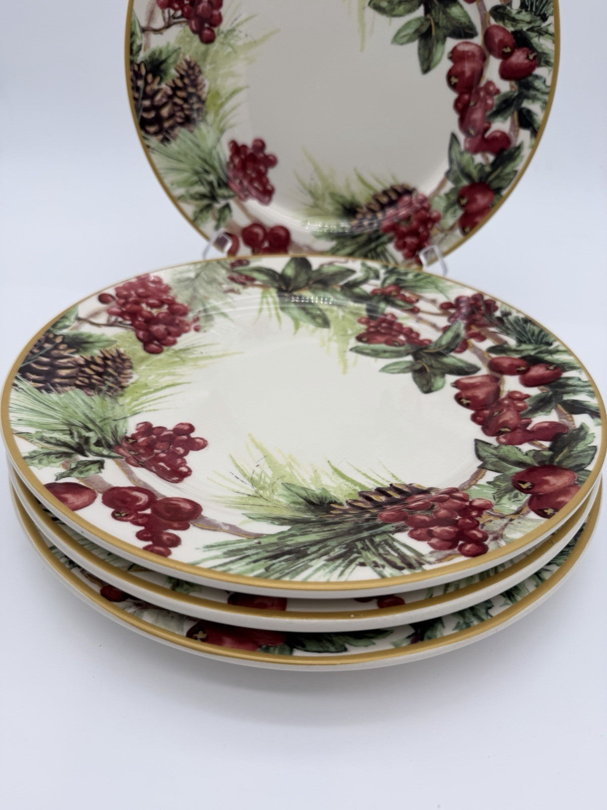 Botanical Wreath Williams Sonoma Dinner Plates 10.5” Red Berries & Pinecones 4