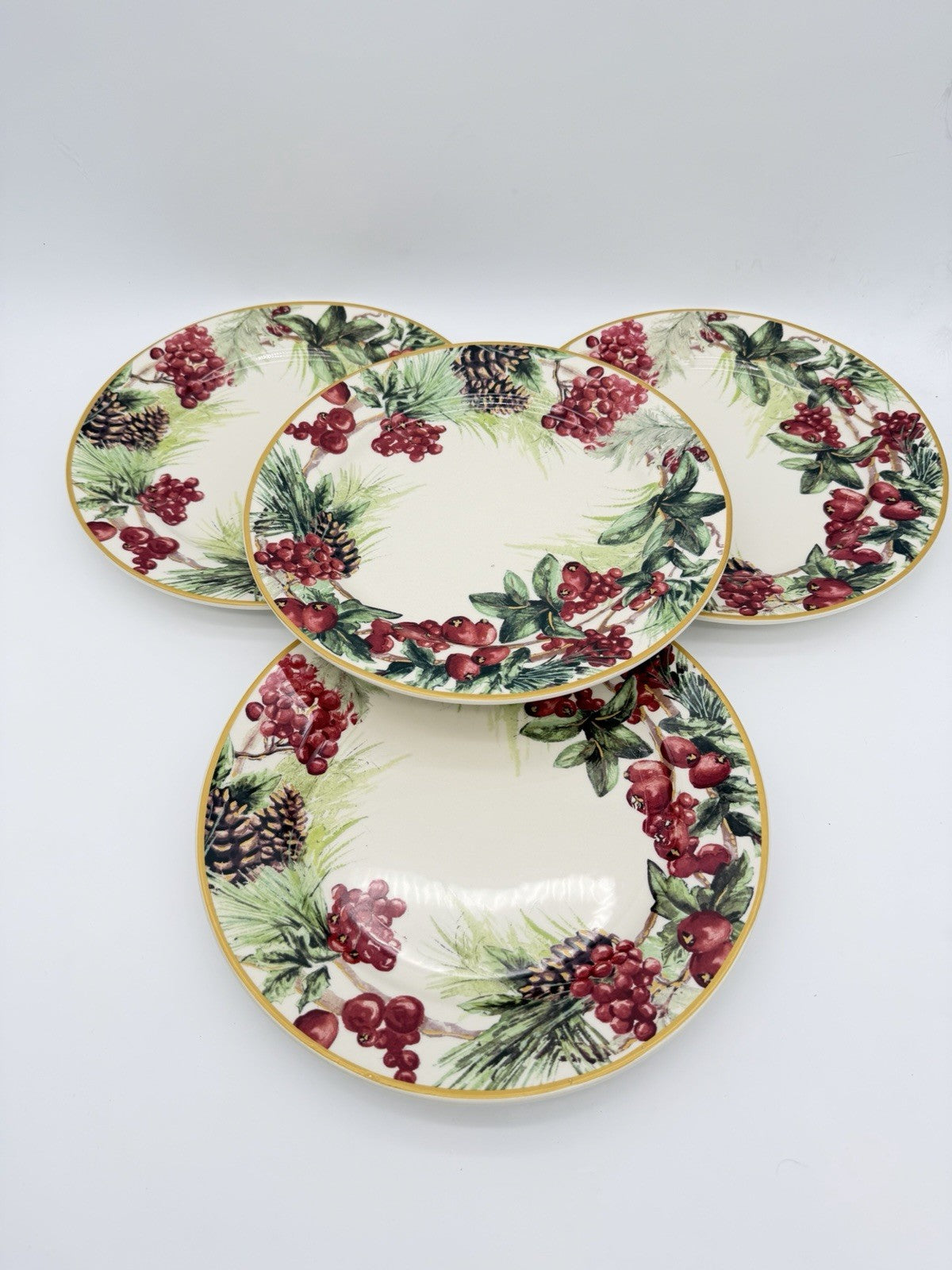 Botanical Wreath Williams Sonoma Dinner Plates 10.5” Red Berries & Pinecones 4