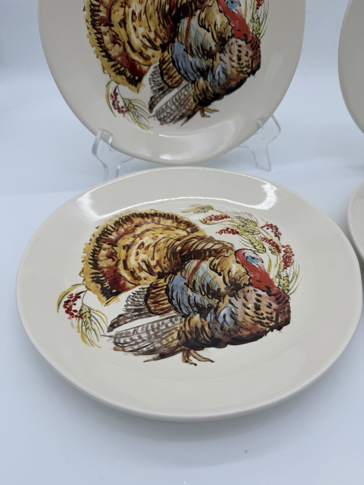 Pottery Barn Watercolor Turkey Salad Dessert Plates Set Of 4 Thanksgiving 8”