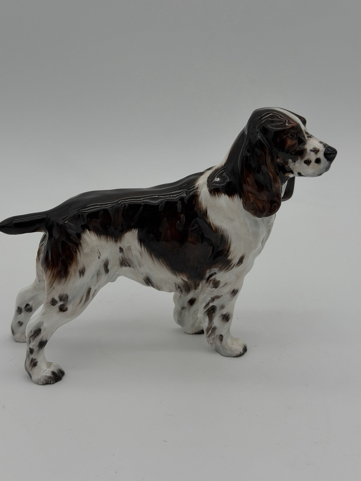 Royal Doulton Porcelain England Springer Spaniel HN 2516 Dog Figurine 5”Hx6”L