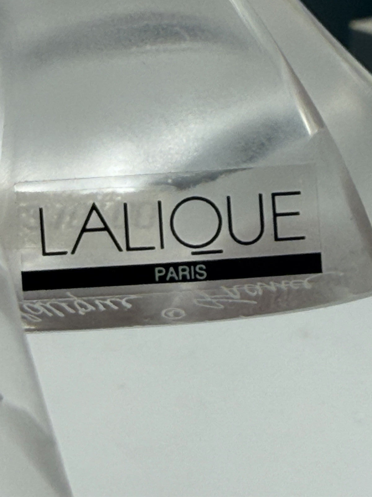 Lalique Crystal France Paris Swallow Taking Flight Martinet Bird Frosted Figurin