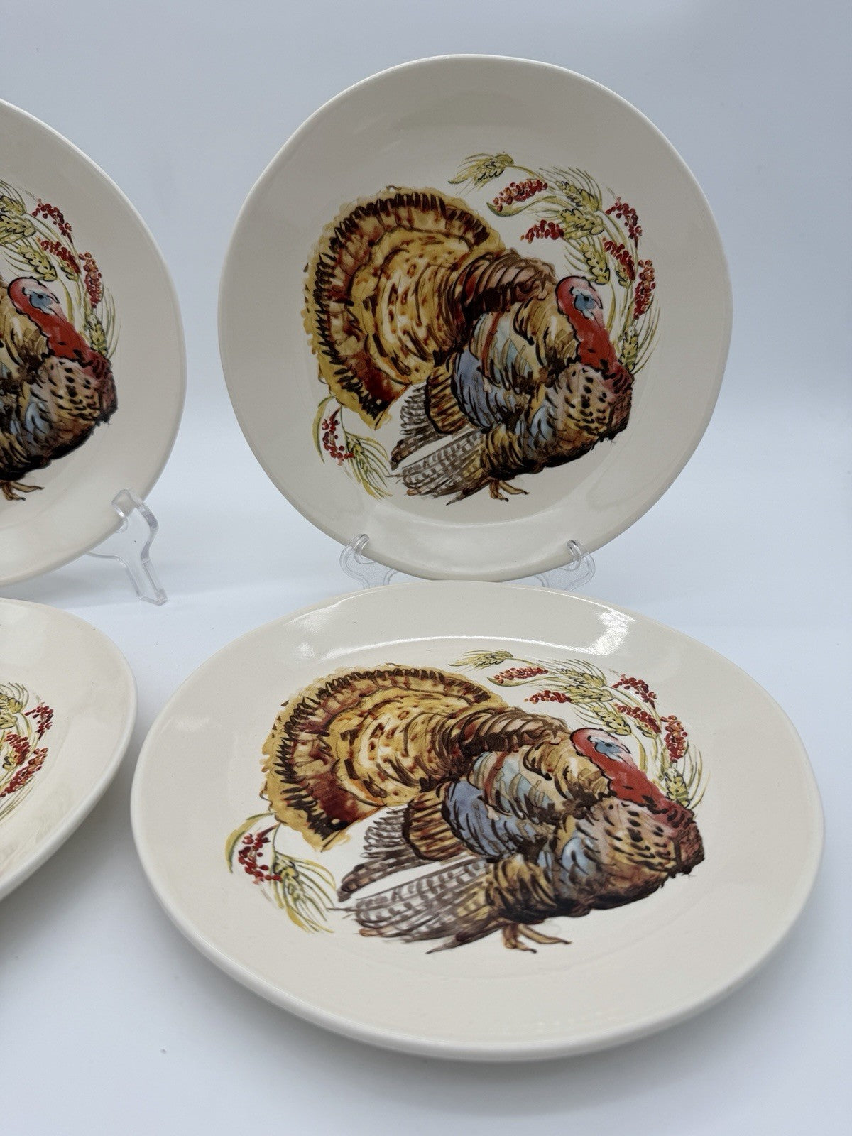 Pottery Barn Watercolor Turkey Salad Dessert Plates Set Of 4 Thanksgiving 8”