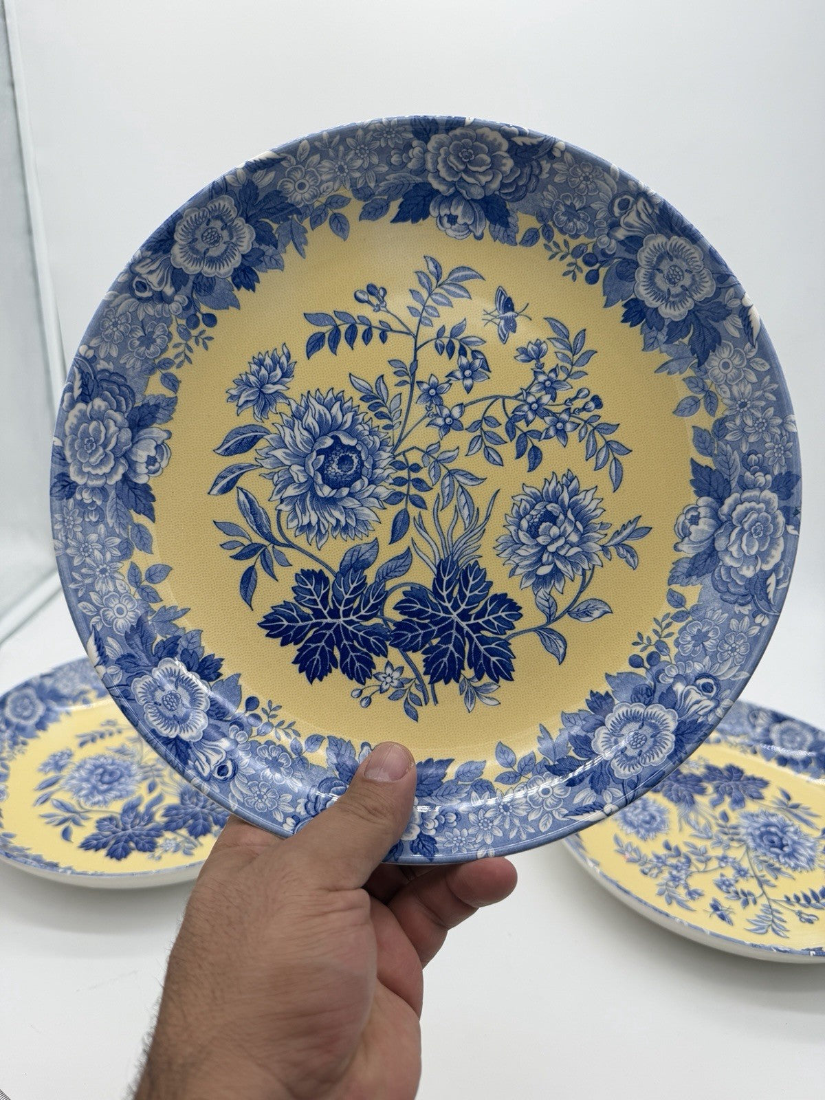 Spode Porcelain Blue Room Garden Collection Jasmine Blue & Yellow Pasta bowl Set
