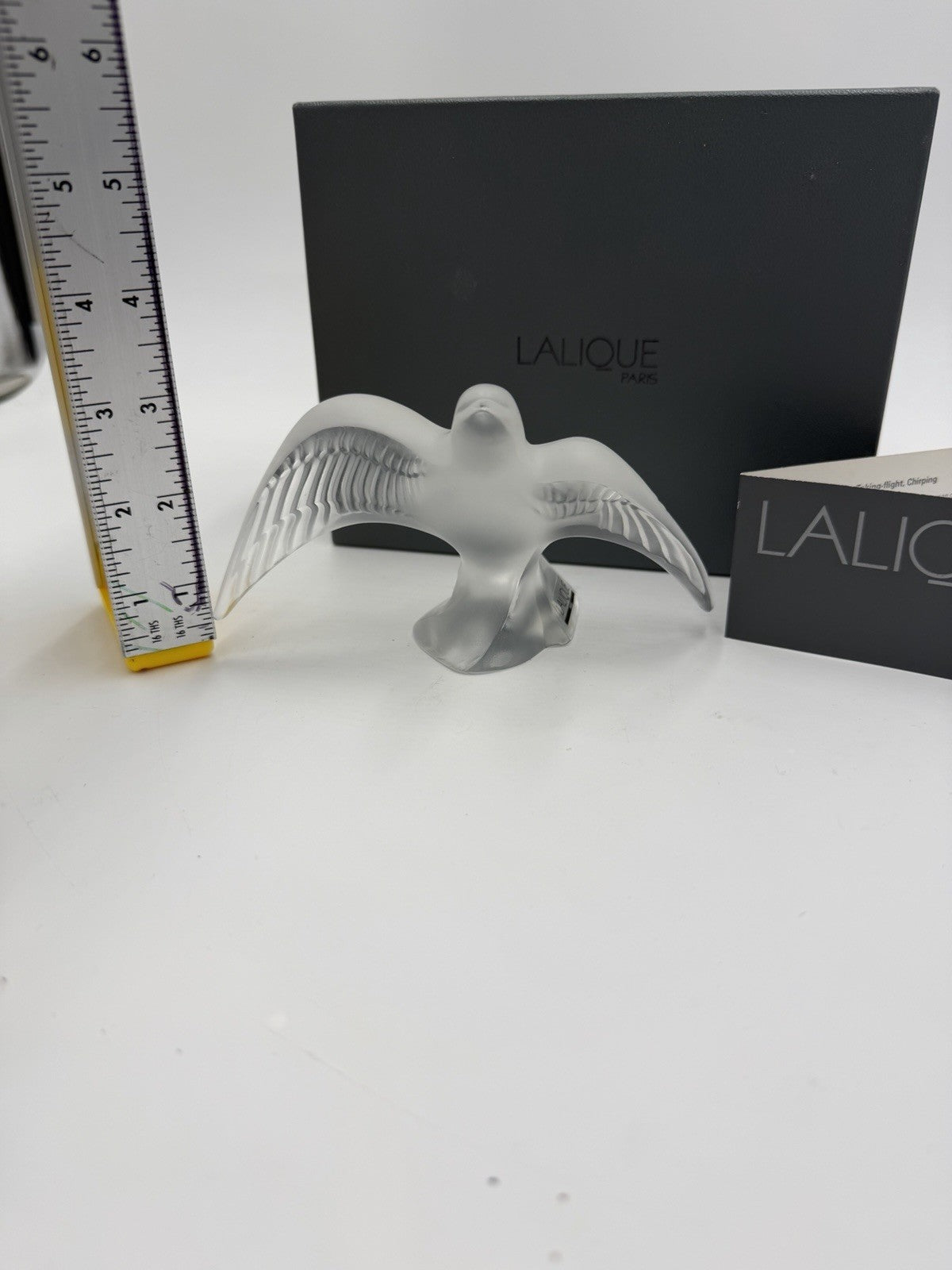Lalique Crystal France Paris Swallow Taking Flight Martinet Bird Frosted Figurin