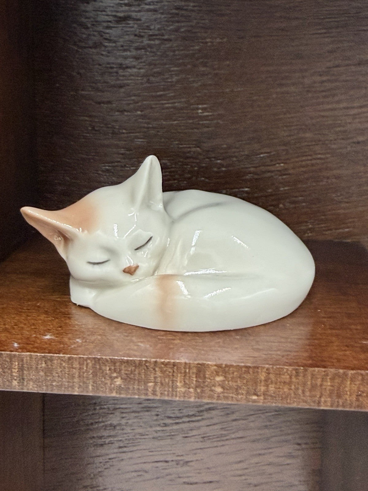 Royal Copenhagen Denmark Porcelain Cat Collection Mini Figurines Wood Shelf