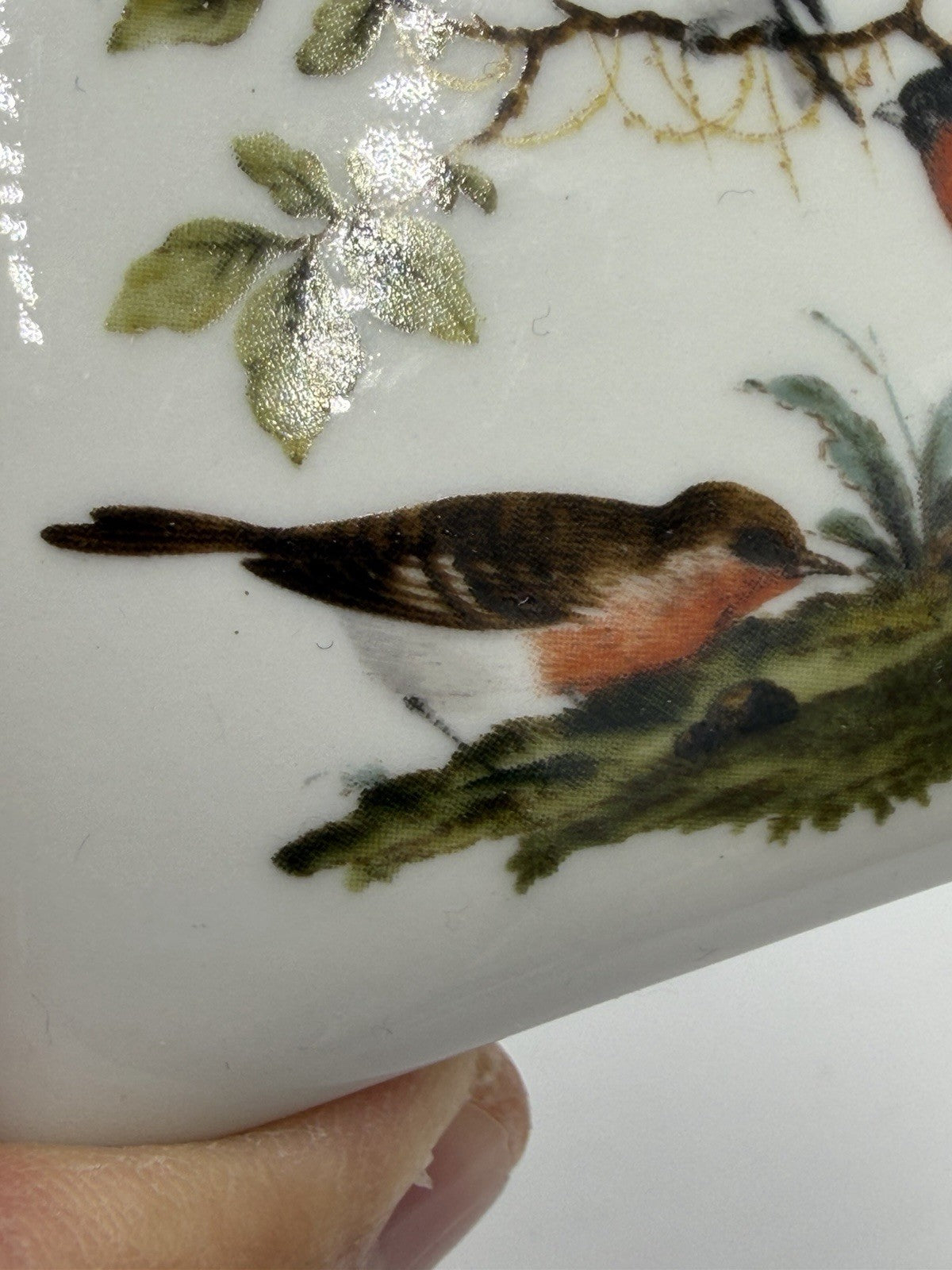 Vtg Limoges France Porcelain Birds Bugs  Botanical Trinket Box 1.5”x3.5”x2.5”