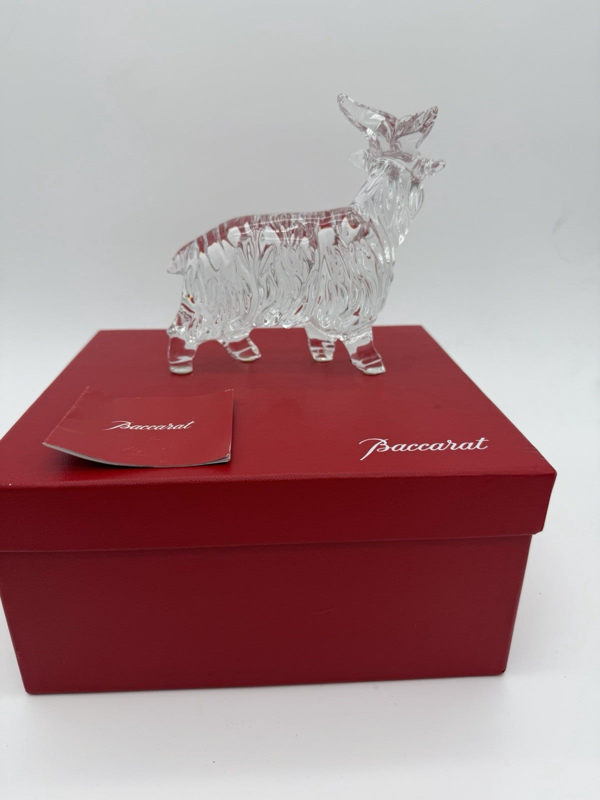 Baccarat Long Hair Goat Crystal France Clear Solid Figurine Sheep Boxed Rare