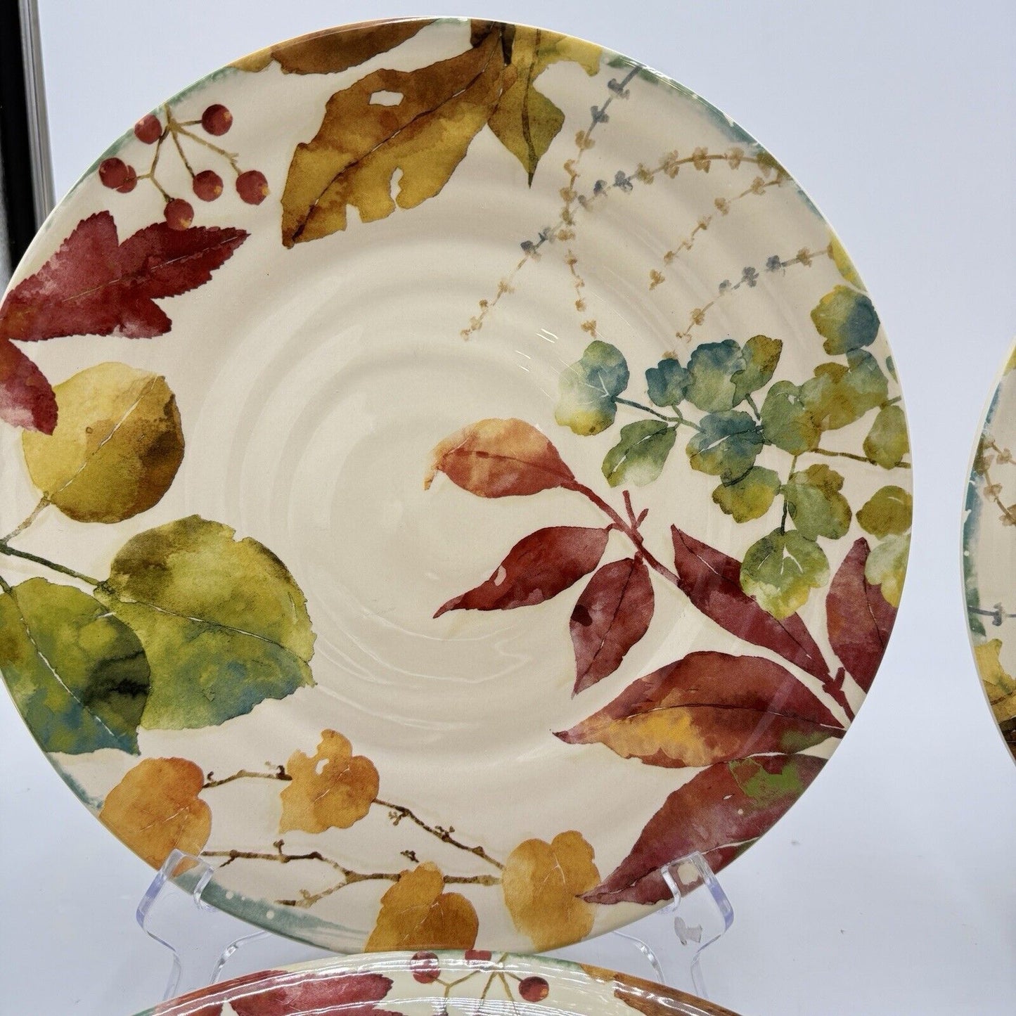 Pier 1 Imports WILLOW Dinner Plates Set 4 11” Fall Leaves Ironstone Ceramic