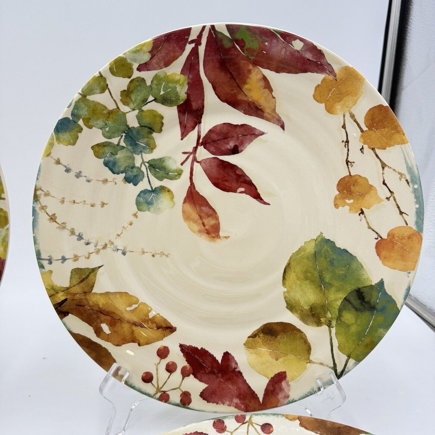 Pier 1 Imports WILLOW Dinner Plates Set 4 11” Fall Leaves Ironstone Ceramic