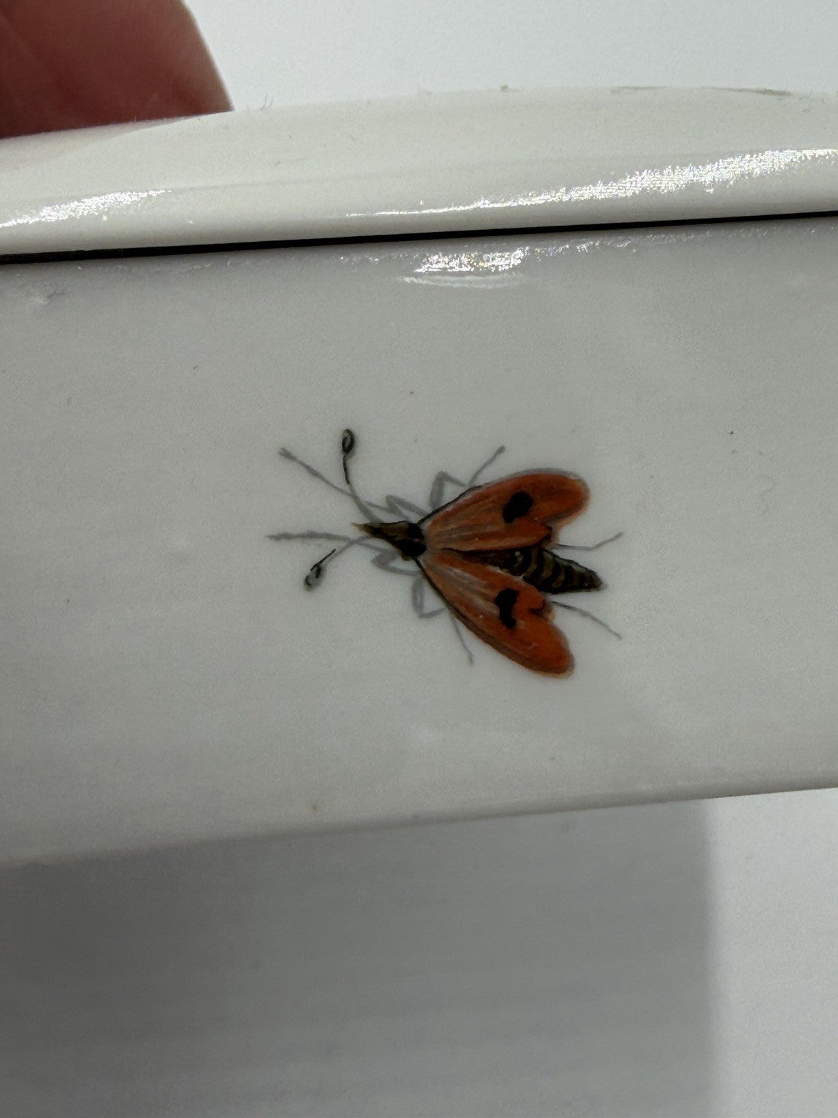 Vtg Limoges France Porcelain Birds Bugs  Botanical Trinket Box 1.5”x3.5”x2.5”