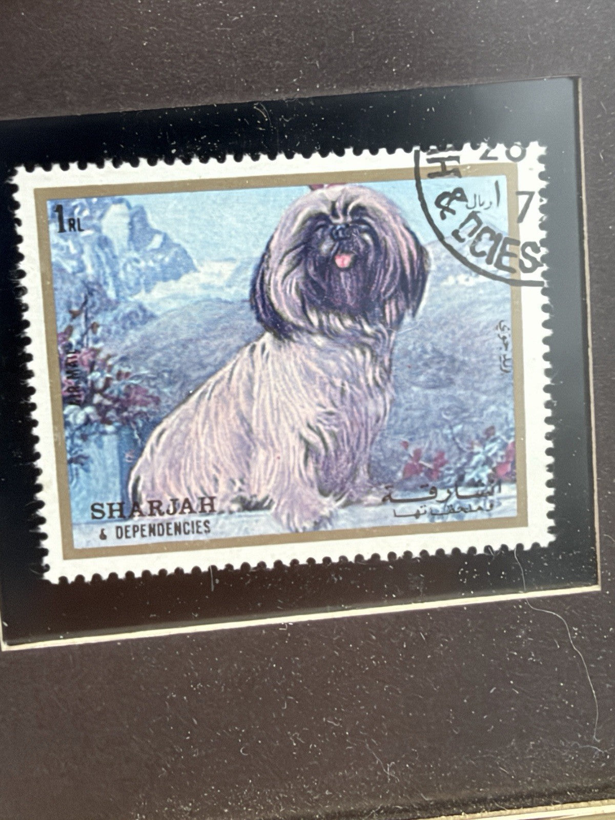 1972 postage stamp Sharjah & Dependencies portrait Shih Tzu Dog Framed Mini 4x5