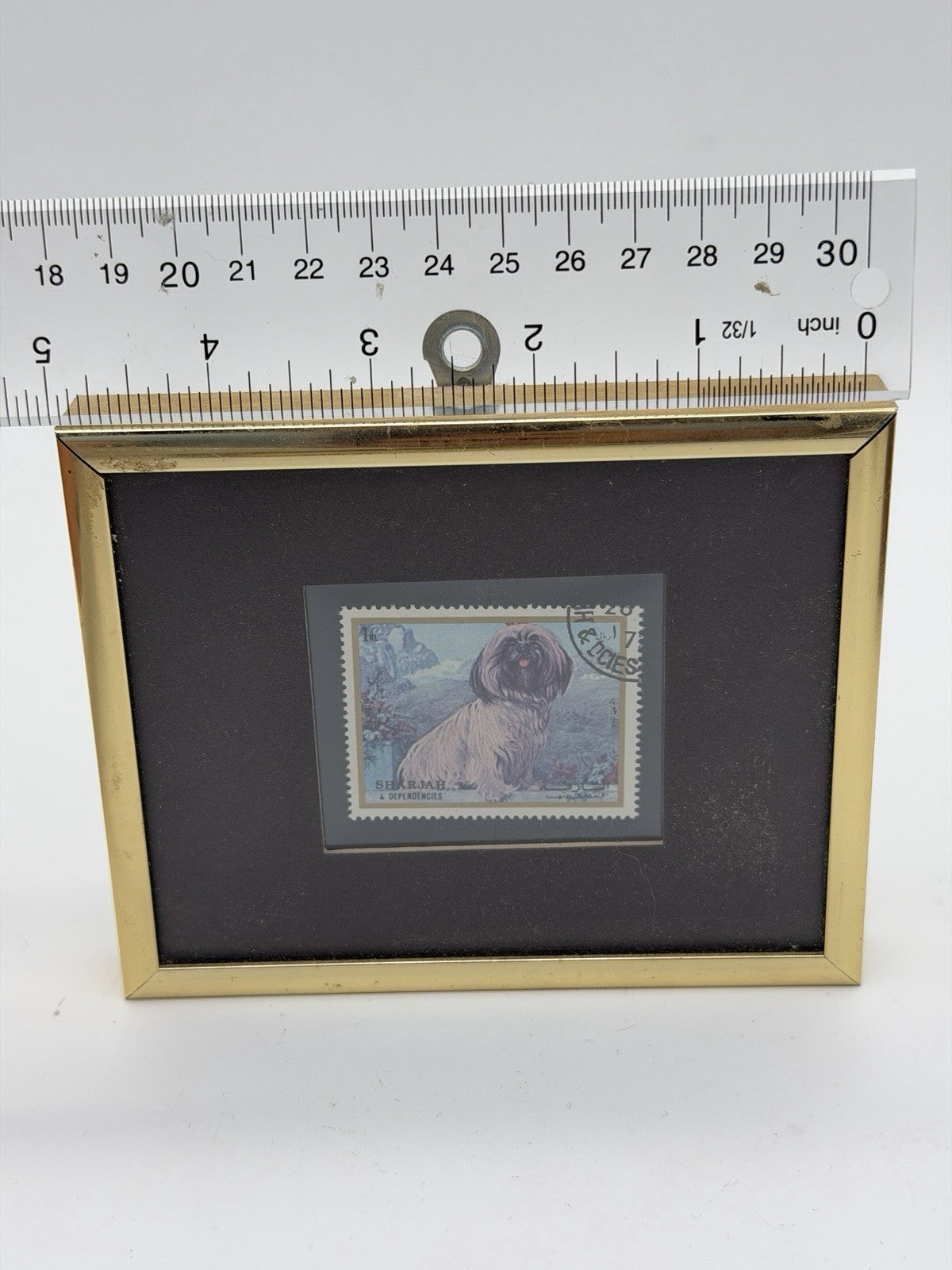 1972 postage stamp Sharjah & Dependencies portrait Shih Tzu Dog Framed Mini 4x5