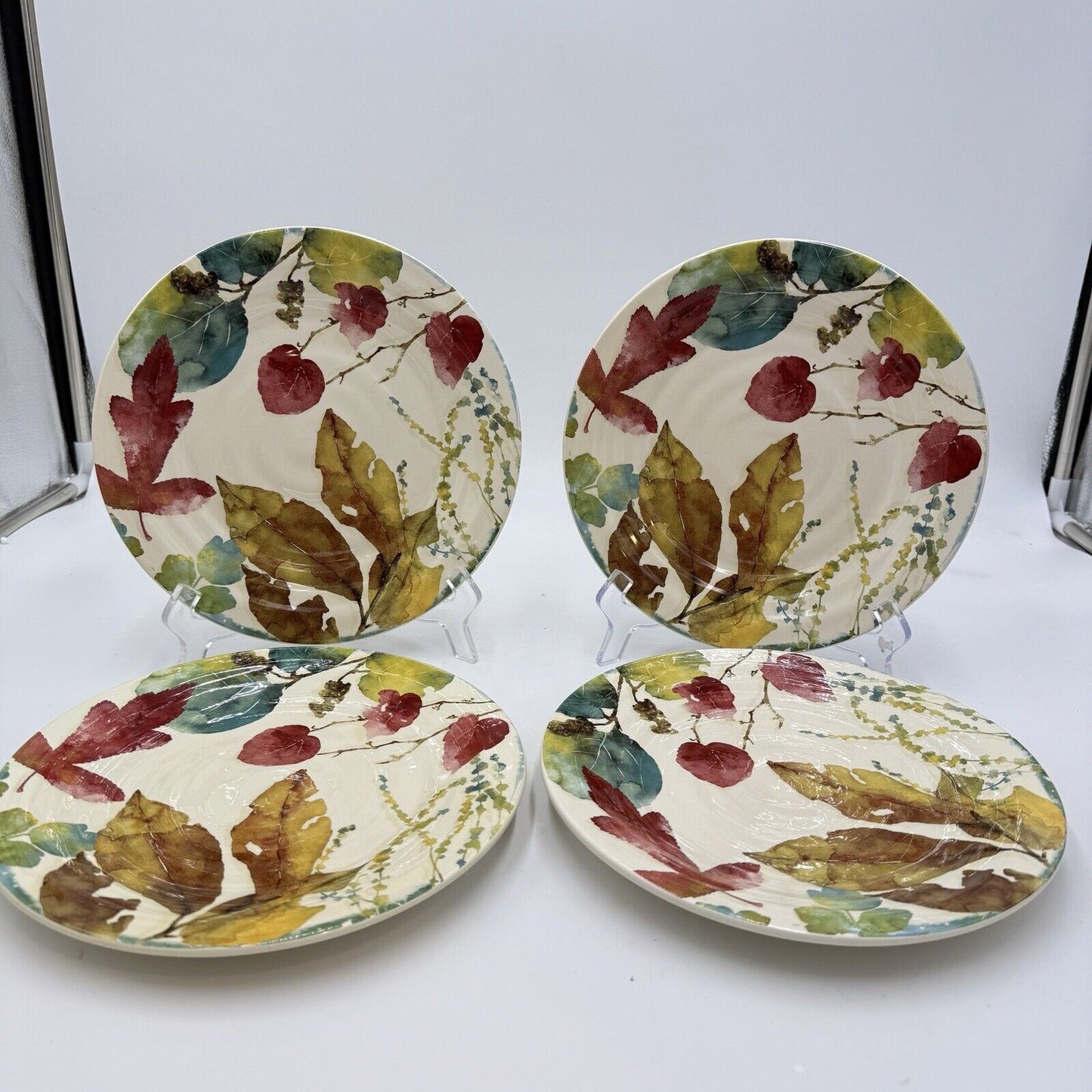 Pier 1 Imports WILLOW Dinner Plates Set 4 11” Fall Leaves Ironstone Ceramic