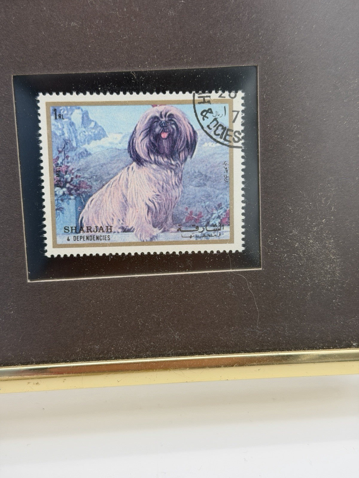 1972 postage stamp Sharjah & Dependencies portrait Shih Tzu Dog Framed Mini 4x5