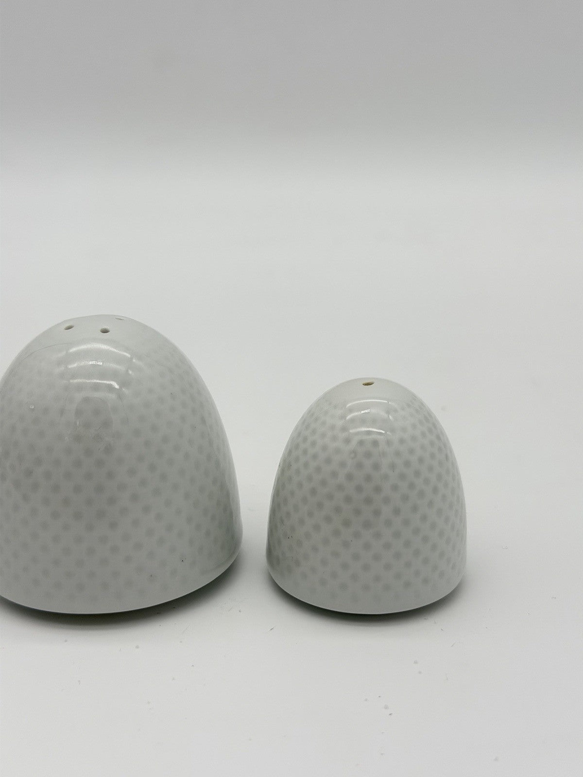Rosenthal Porcelain Germany White Paneled Salt & Pepper Shakers Egg Shaped