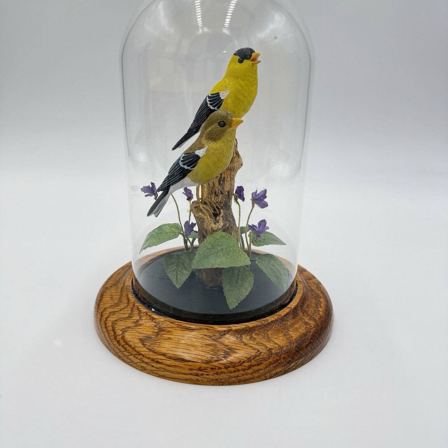 William DeSelm’s Studios American Goldfinch Folk Art Hand Carved # 17 Glass Dome