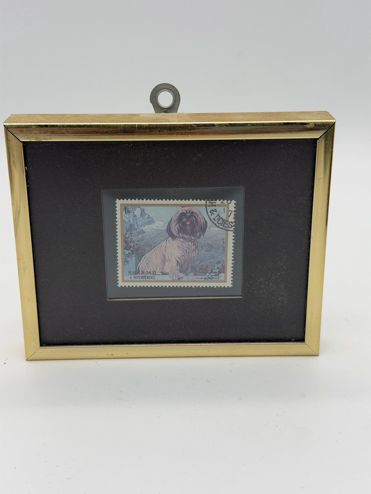 1972 postage stamp Sharjah & Dependencies portrait Shih Tzu Dog Framed Mini 4x5