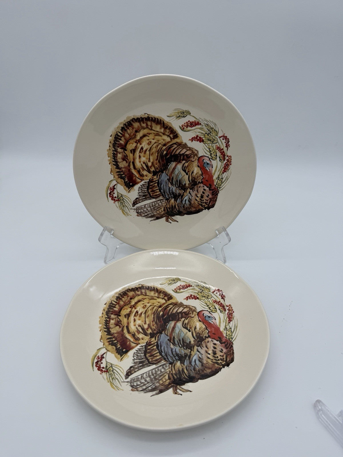 Pottery Barn Watercolor Plymouth Turkey 2 salad plates Thanksgiving 8”