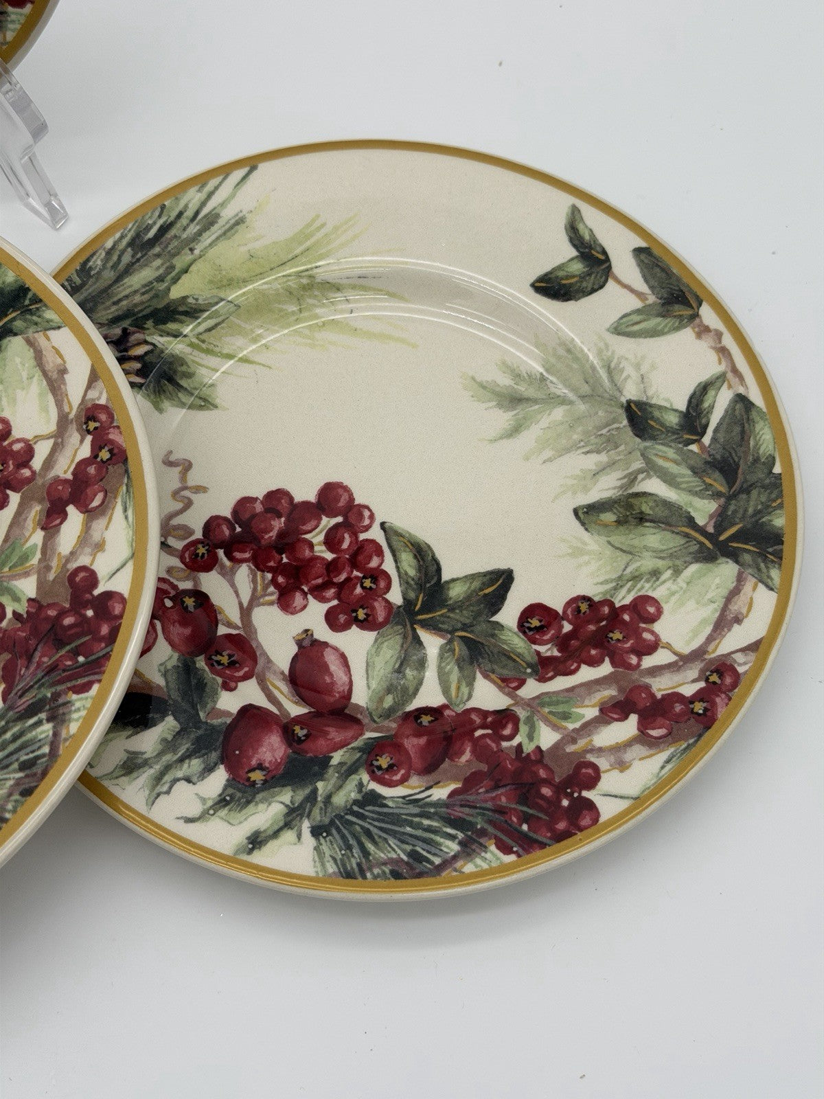 Botanical Wreath William Sonoma Red Berries & Pinecones Salad /dessert Plates 4