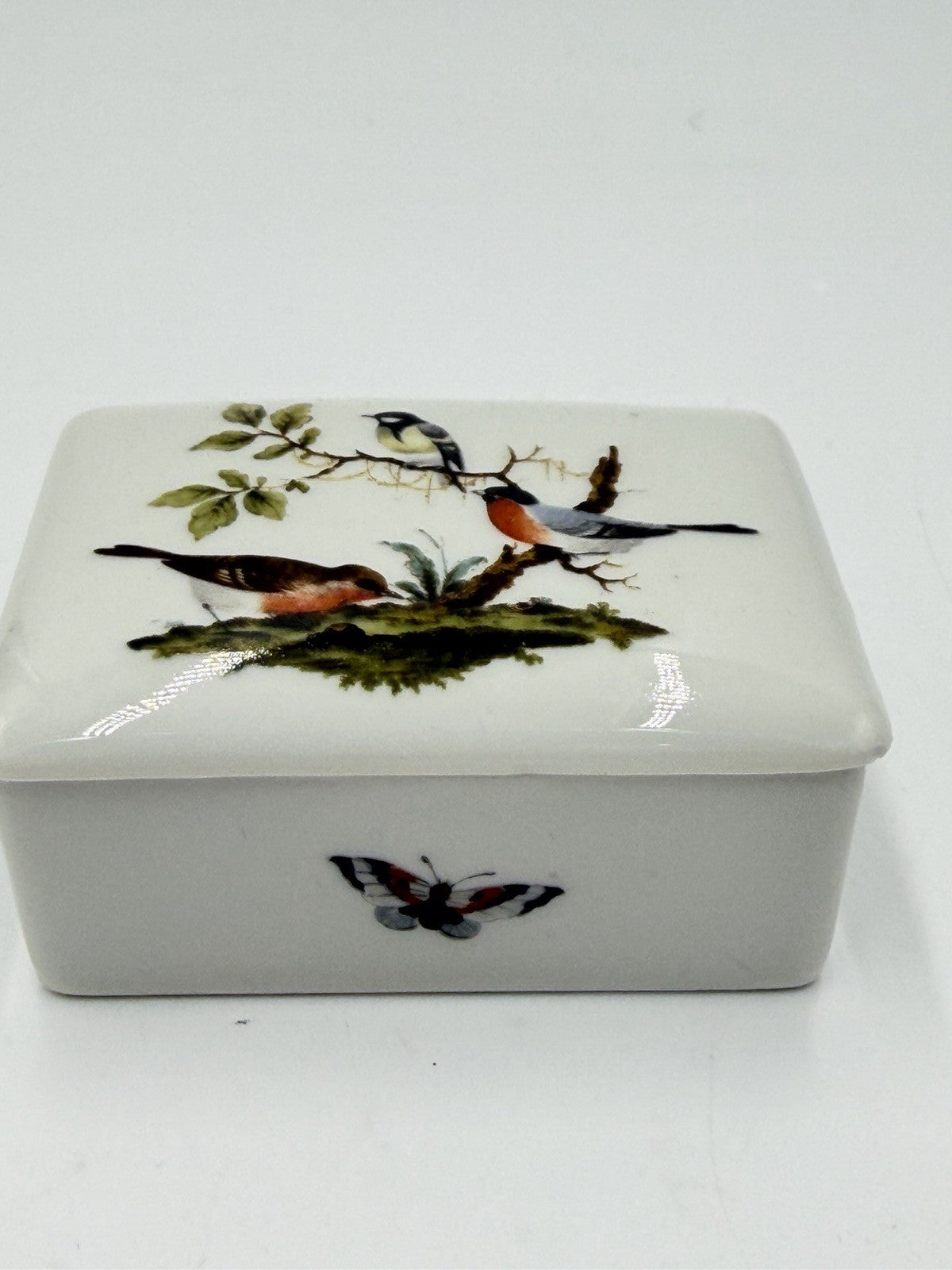 Vtg Limoges France Porcelain Birds Bugs  Botanical Trinket Box 1.5”x3.5”x2.5”