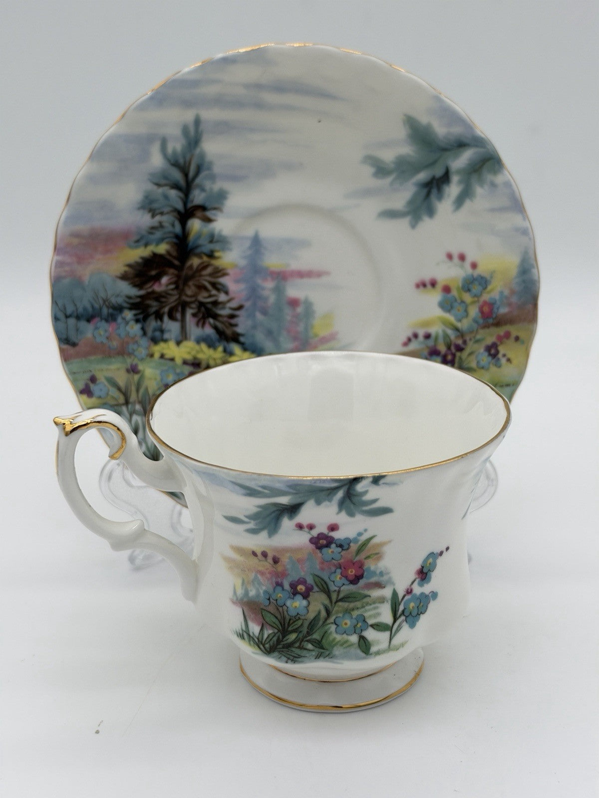 Royal Albert England Porcelain Country Scenes Dovedale Tea Cup & Saucer Set Rare