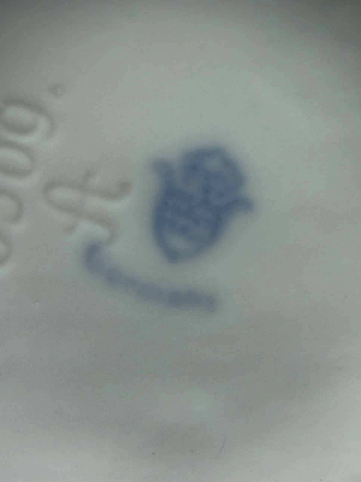 Antique Unterweissbach Germany Porcelain Bullfinch Bird Figurine 5”H #8509 Model