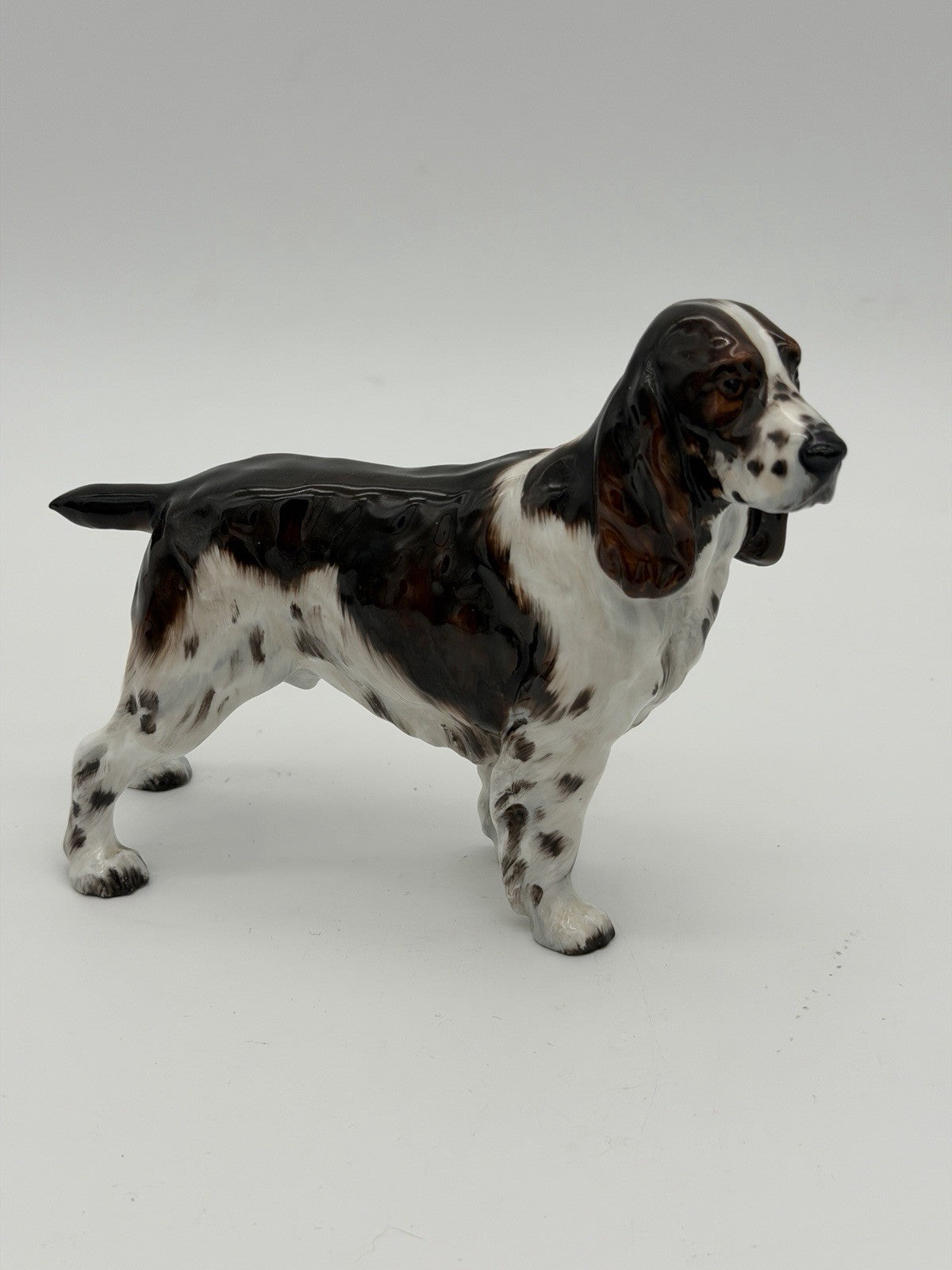 Royal Doulton Porcelain England Springer Spaniel HN 2516 Dog Figurine 5”Hx6”L