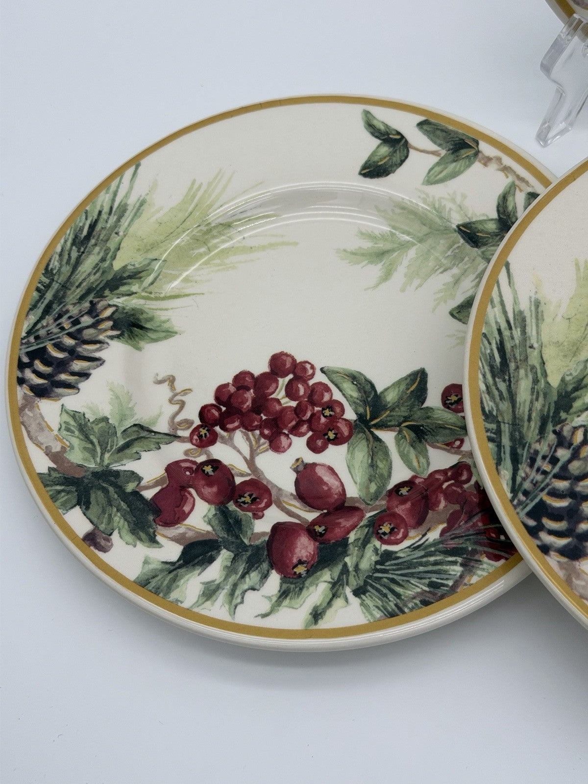 Botanical Wreath William Sonoma Red Berries & Pinecones Salad /dessert Plates 4