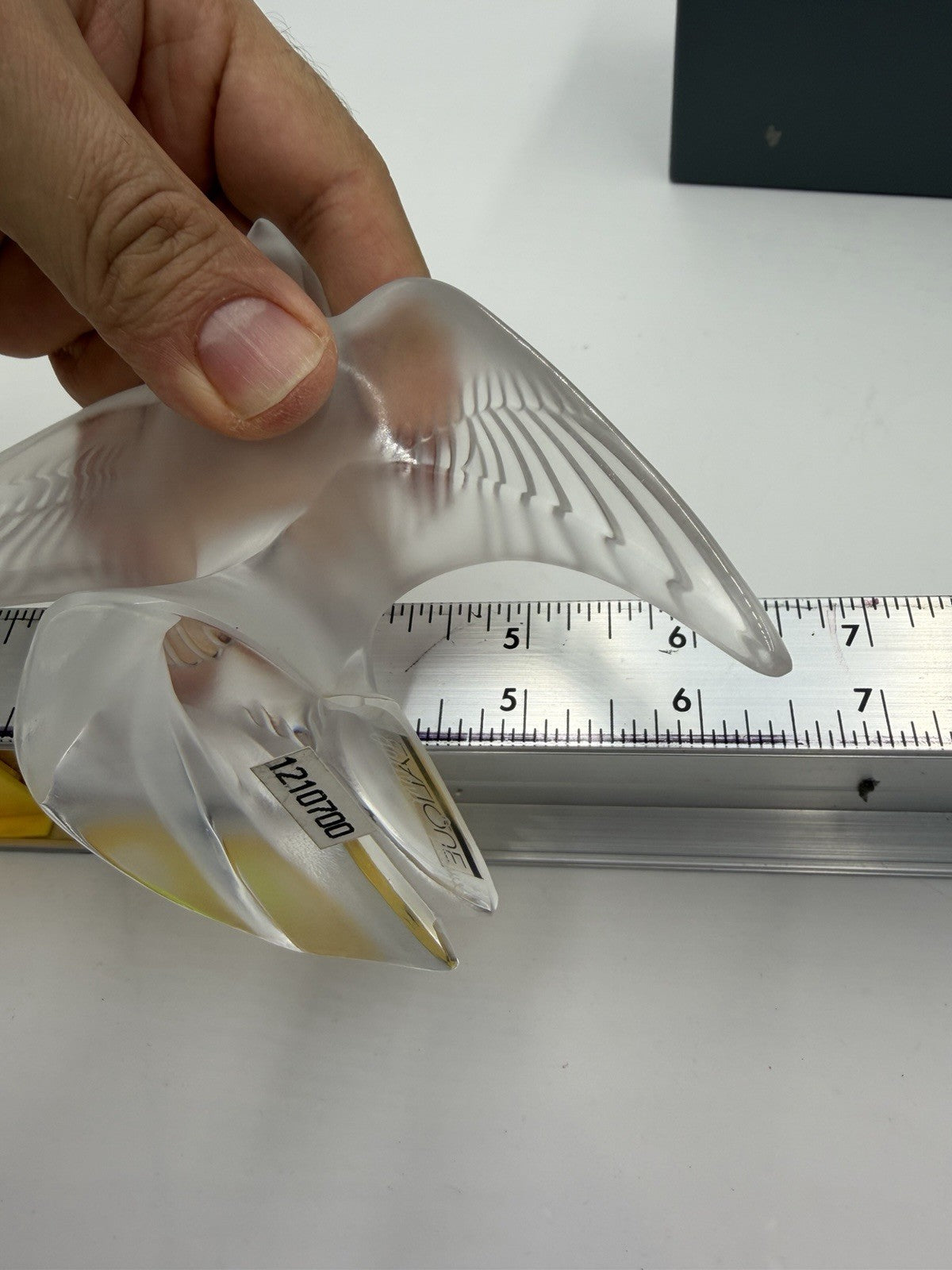 Lalique Crystal France Paris Swallow Taking Flight Martinet Bird Frosted Figurin