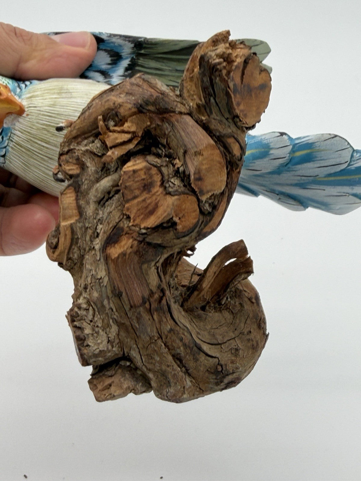 Folk Art Wood Carved Painted Parakeet Wall Hanging Figurine