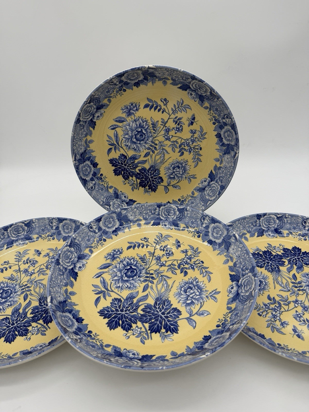 Spode Porcelain Blue Room Garden Collection Jasmine Blue & Yellow Pasta bowl Set