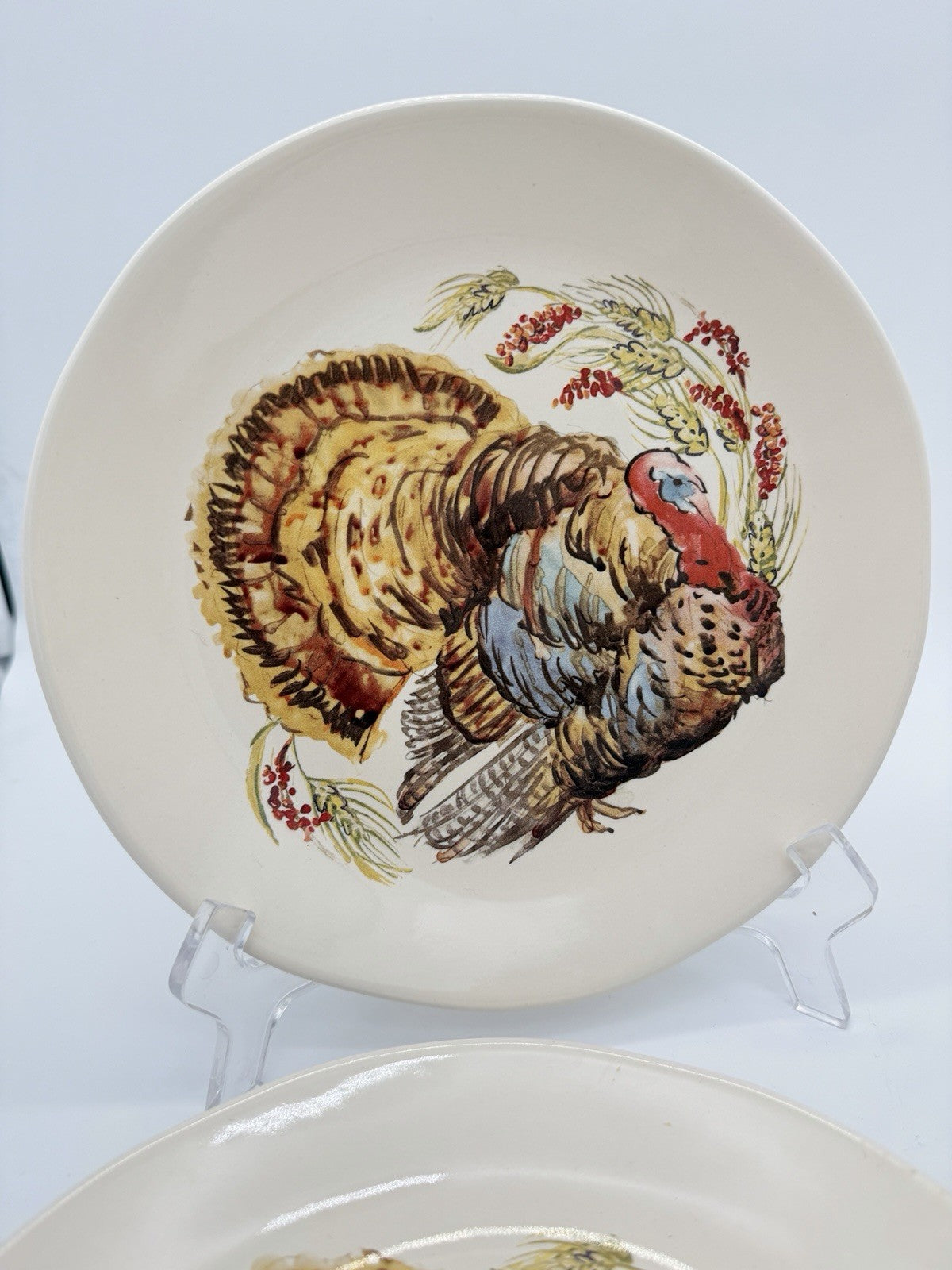Pottery Barn Watercolor Turkey Salad Dessert Plates Set Of 4 Thanksgiving 8”