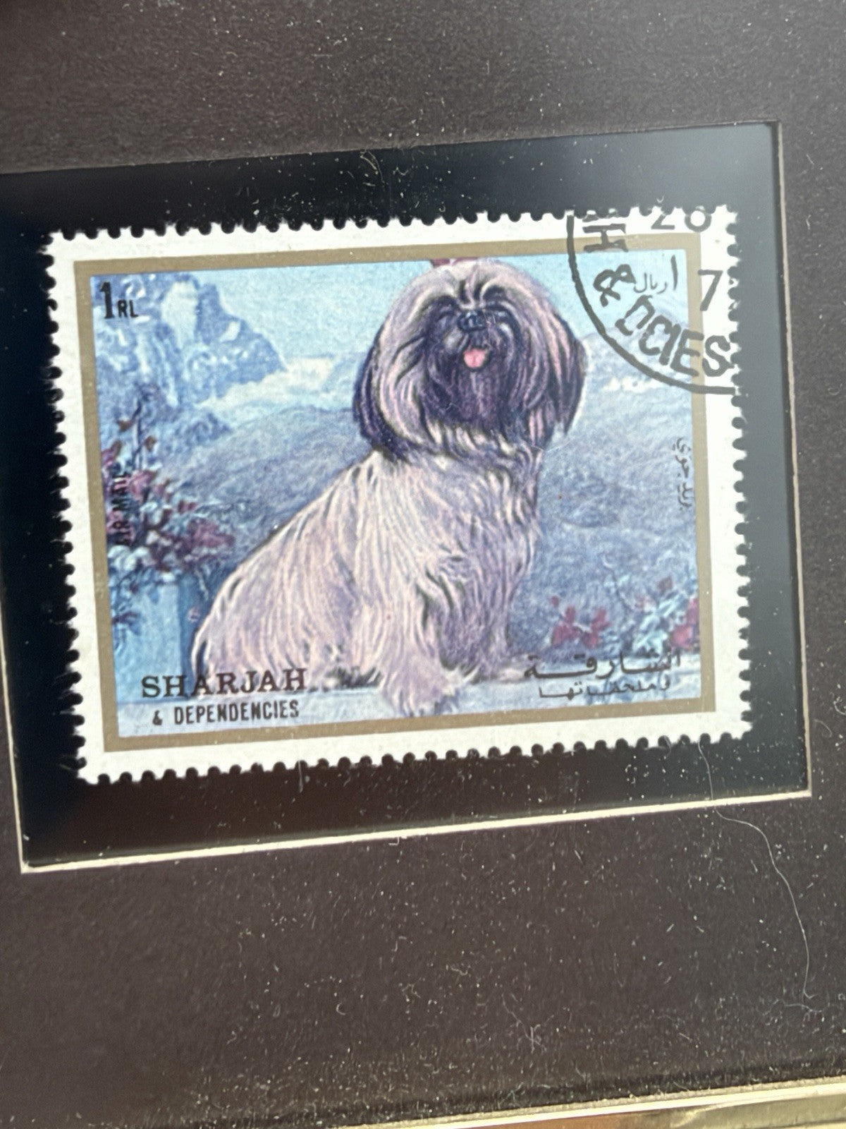 1972 postage stamp Sharjah & Dependencies portrait Shih Tzu Dog Framed Mini 4x5