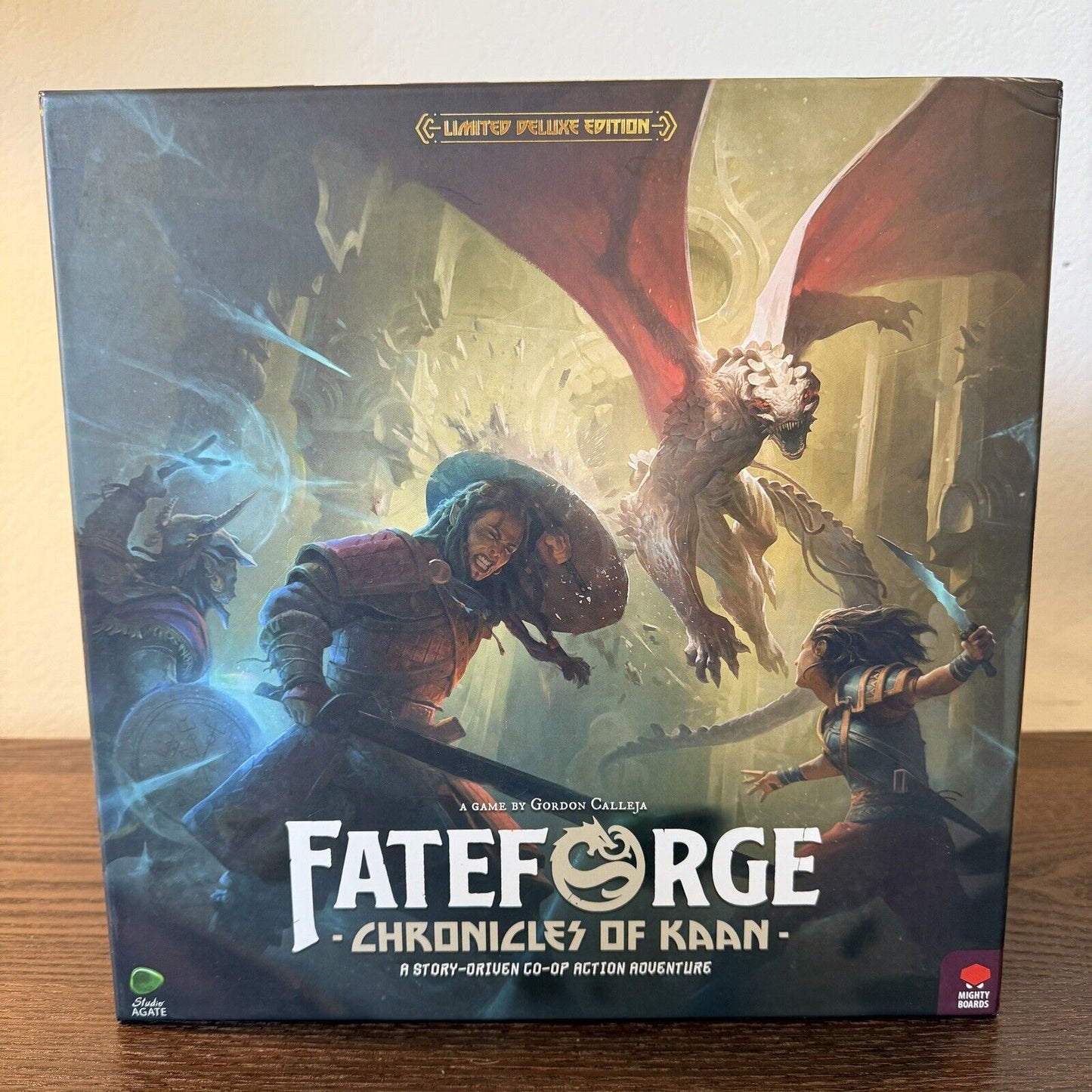 Fateforge: Chronicles of Kaan Limited Deluxe Edition Painted Miniatures Co-op