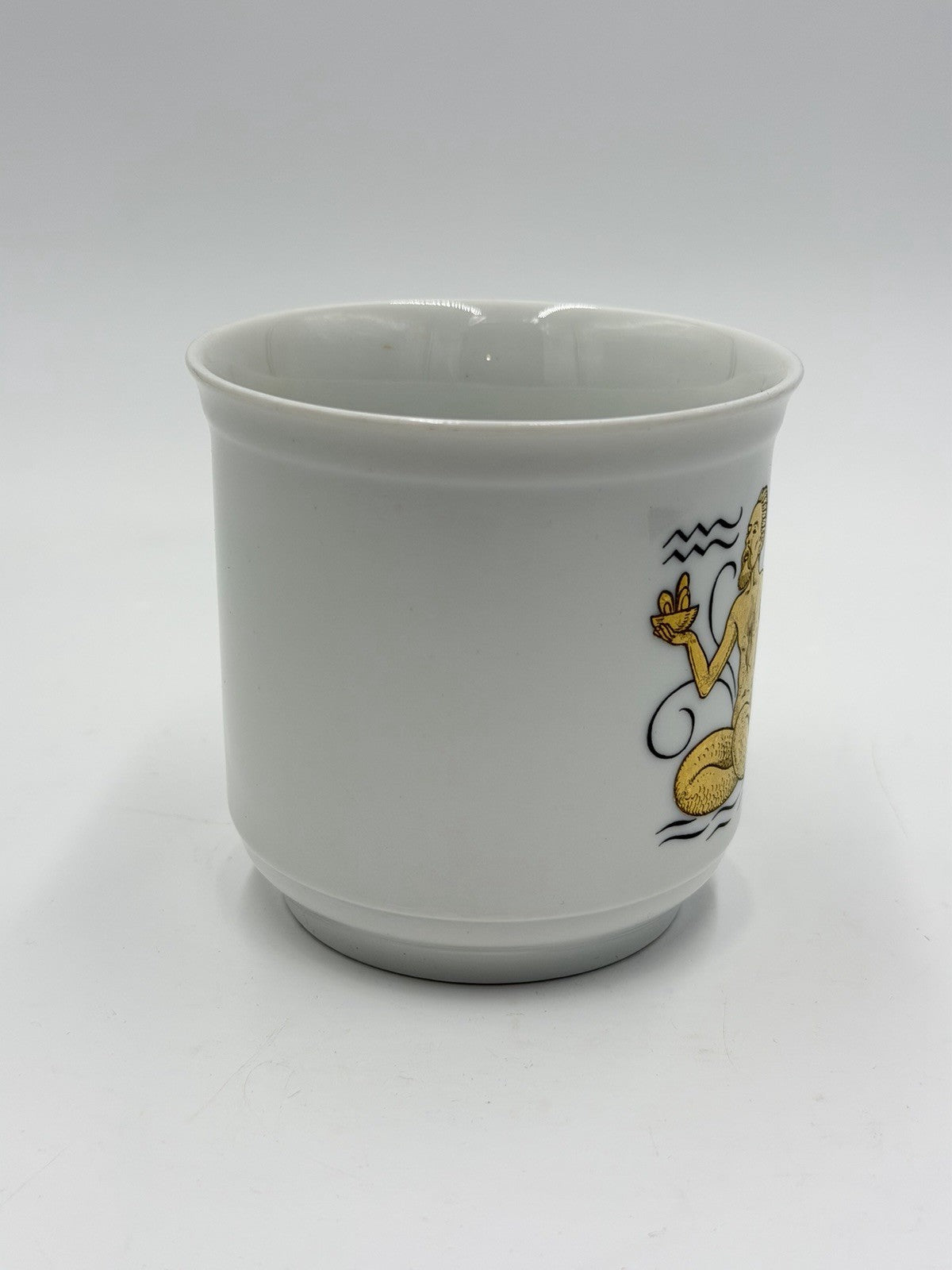 Schumann Arzberg Aquarius Bavarian Porcelain Zodiac Signs #21 Coffee Mug Vintage
