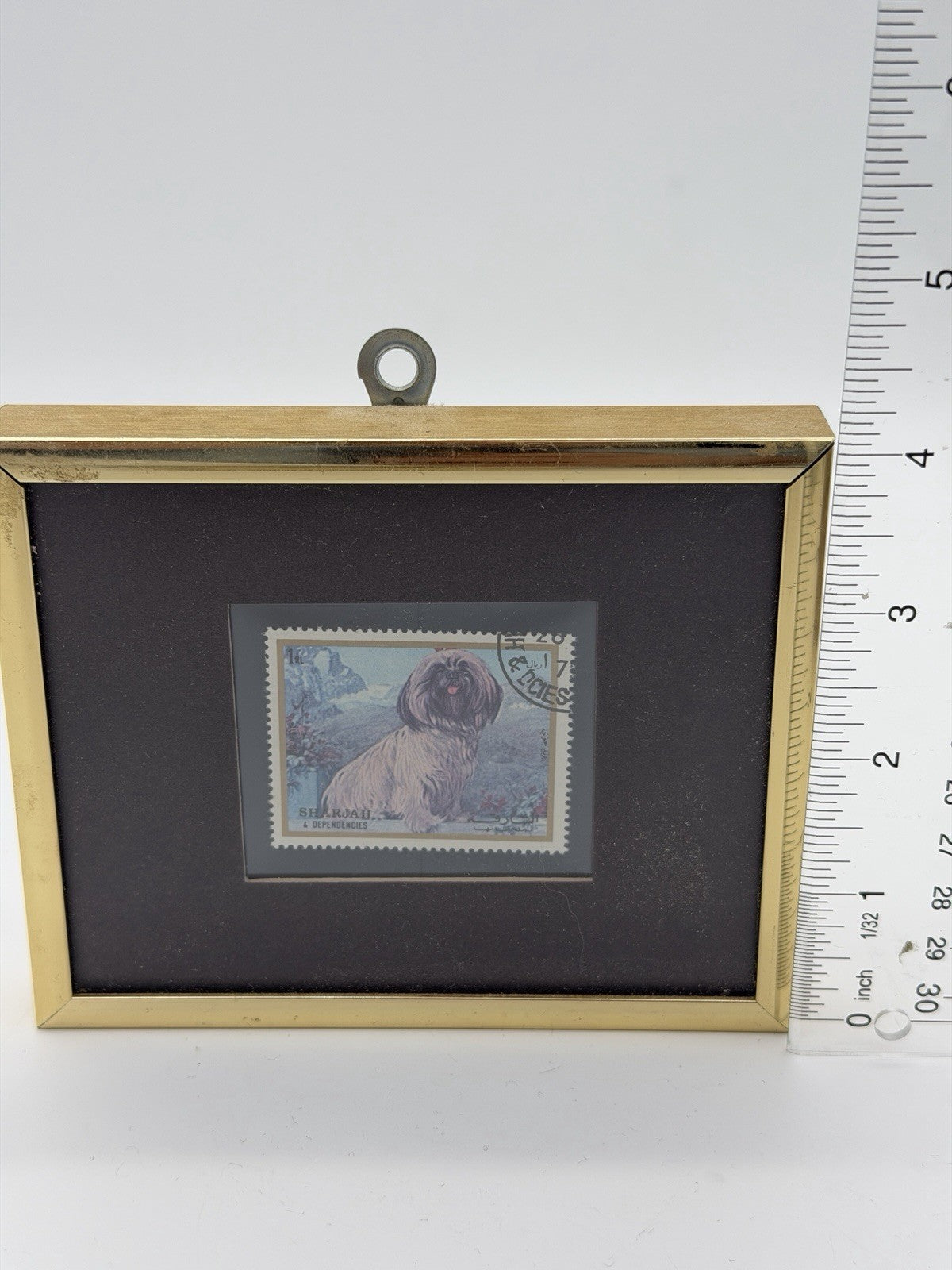 1972 postage stamp Sharjah & Dependencies portrait Shih Tzu Dog Framed Mini 4x5