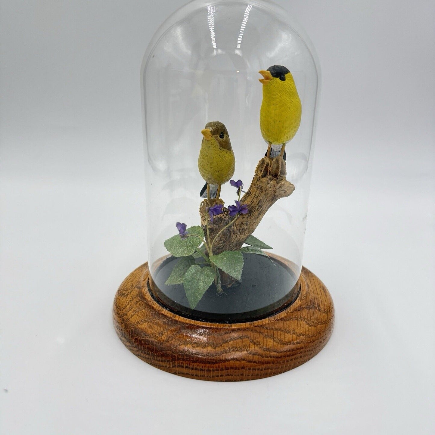 William DeSelm’s Studios American Goldfinch Folk Art Hand Carved # 17 Glass Dome