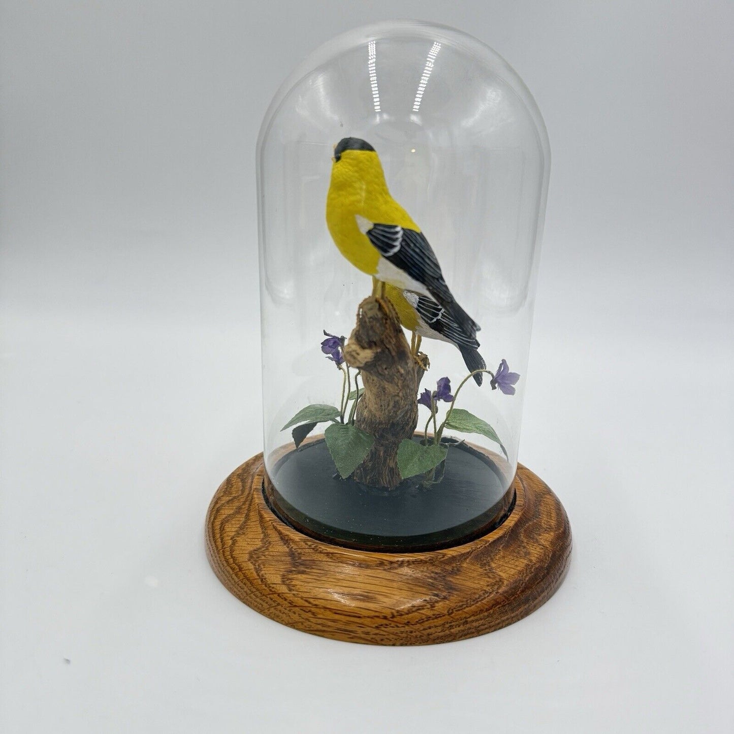 William DeSelm’s Studios American Goldfinch Folk Art Hand Carved # 17 Glass Dome