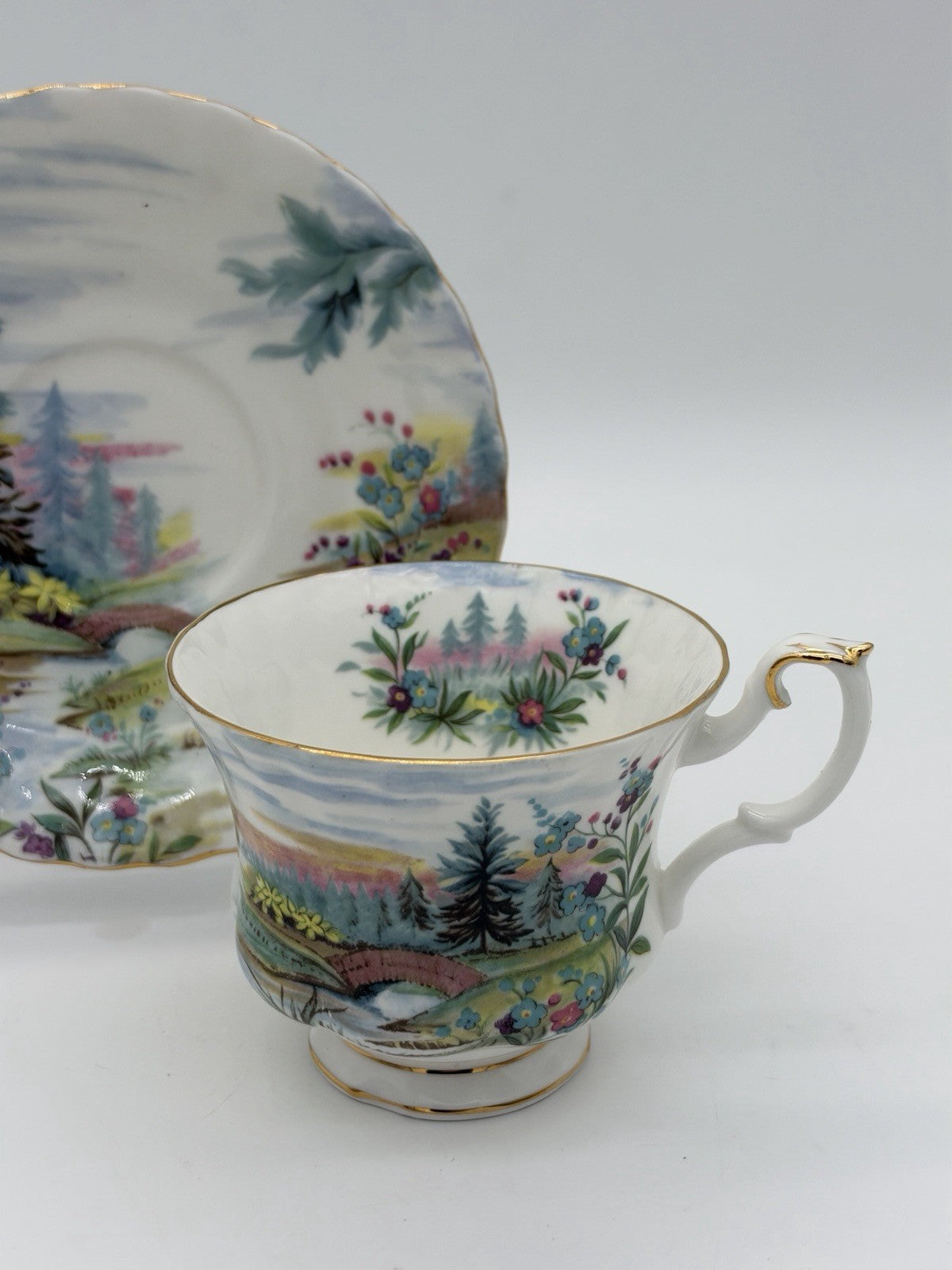 Royal Albert England Porcelain Country Scenes Dovedale Tea Cup & Saucer Set Rare