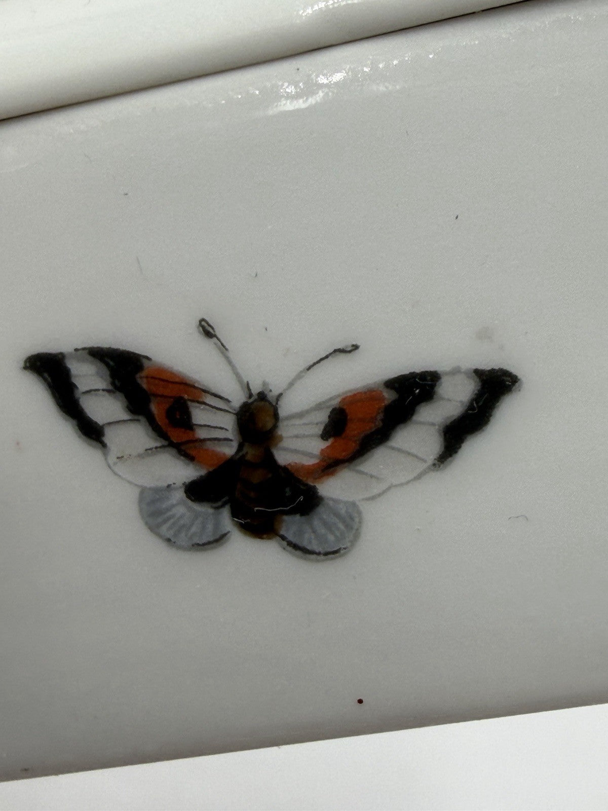 Vtg Limoges France Porcelain Birds Bugs  Botanical Trinket Box 1.5”x3.5”x2.5”